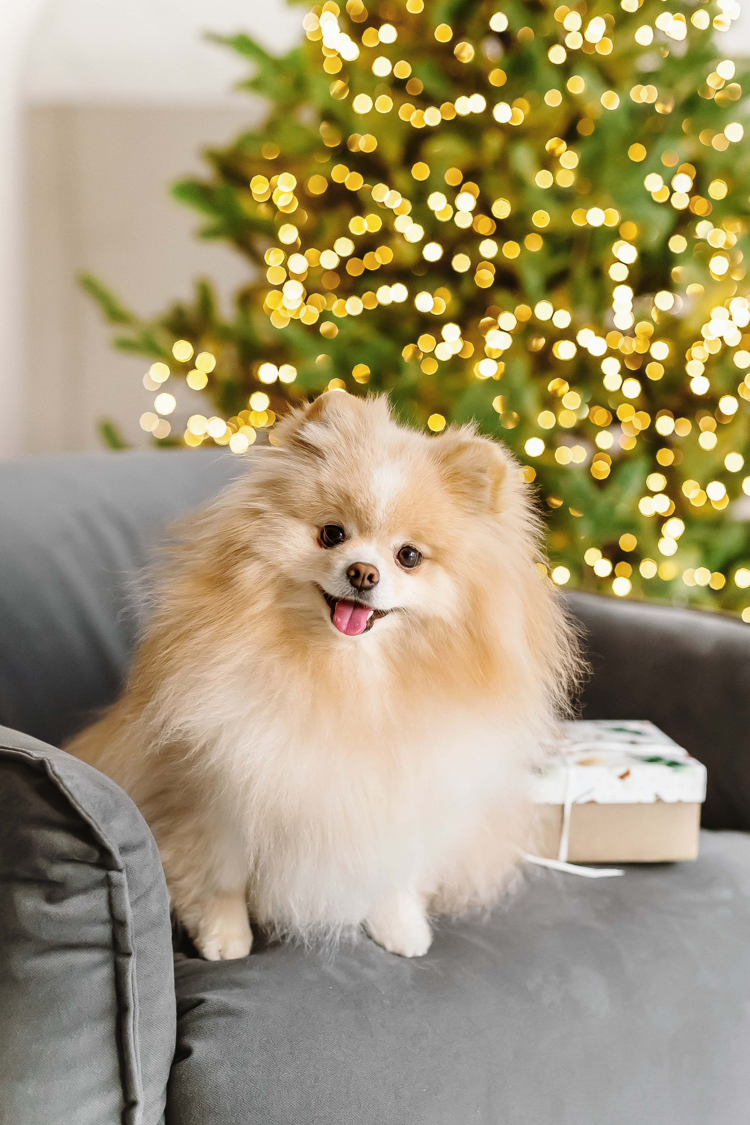 Милана и Алексей. Портретный и семейный фотограф в Минске