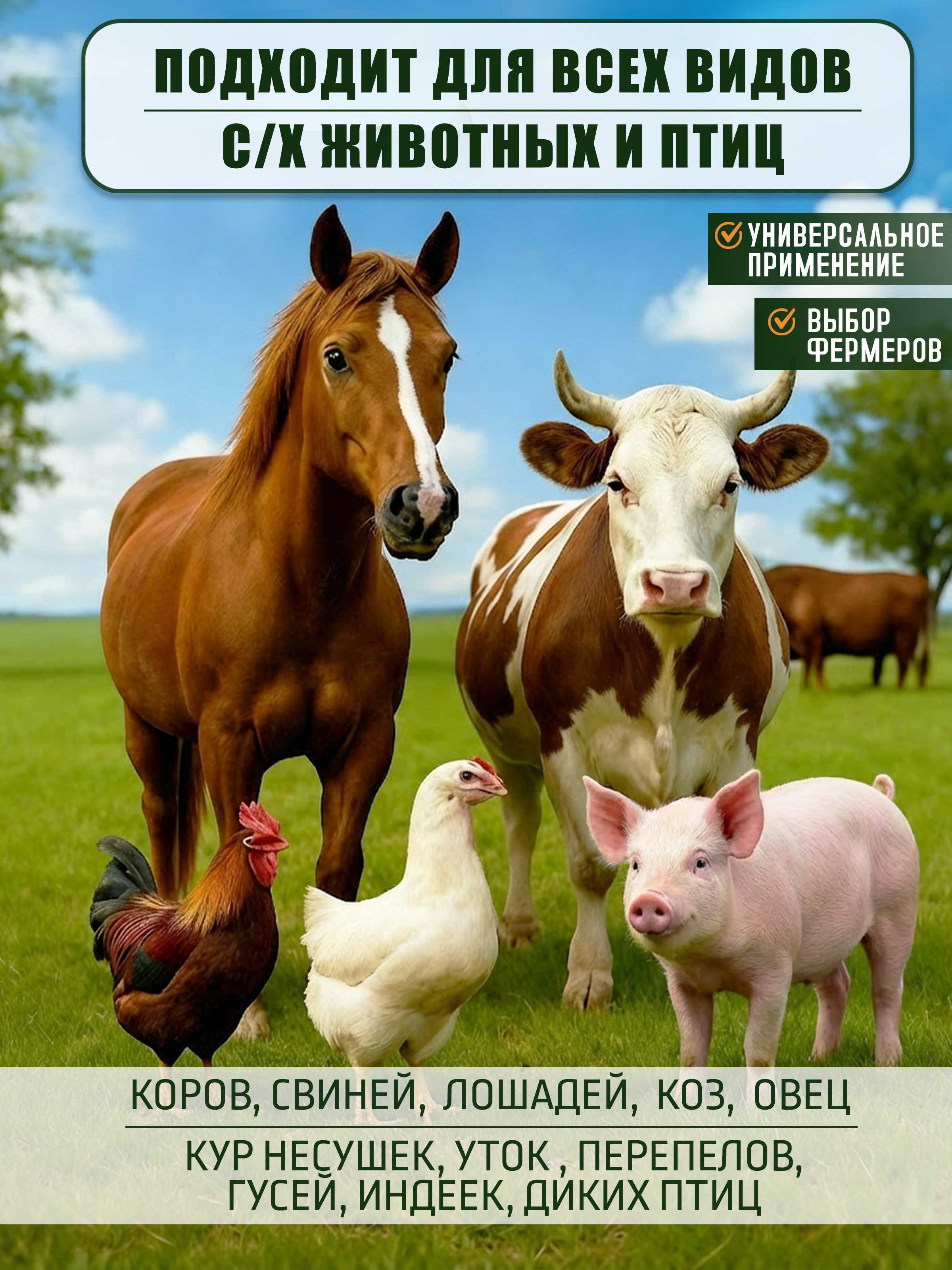 Инфографика. Предметный фотограф, маркетплейсы г. Оренбург Станкевич Тамара