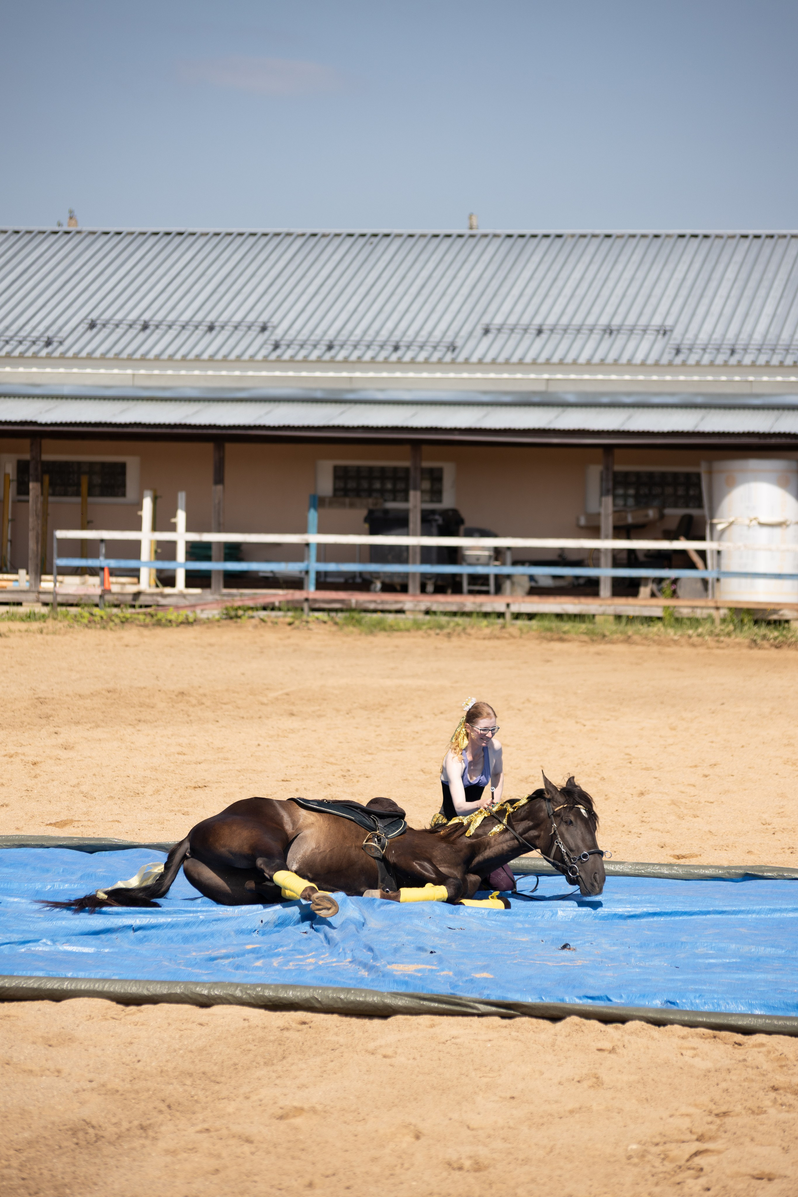 Конюшня. Фотограф в Москве и Истре