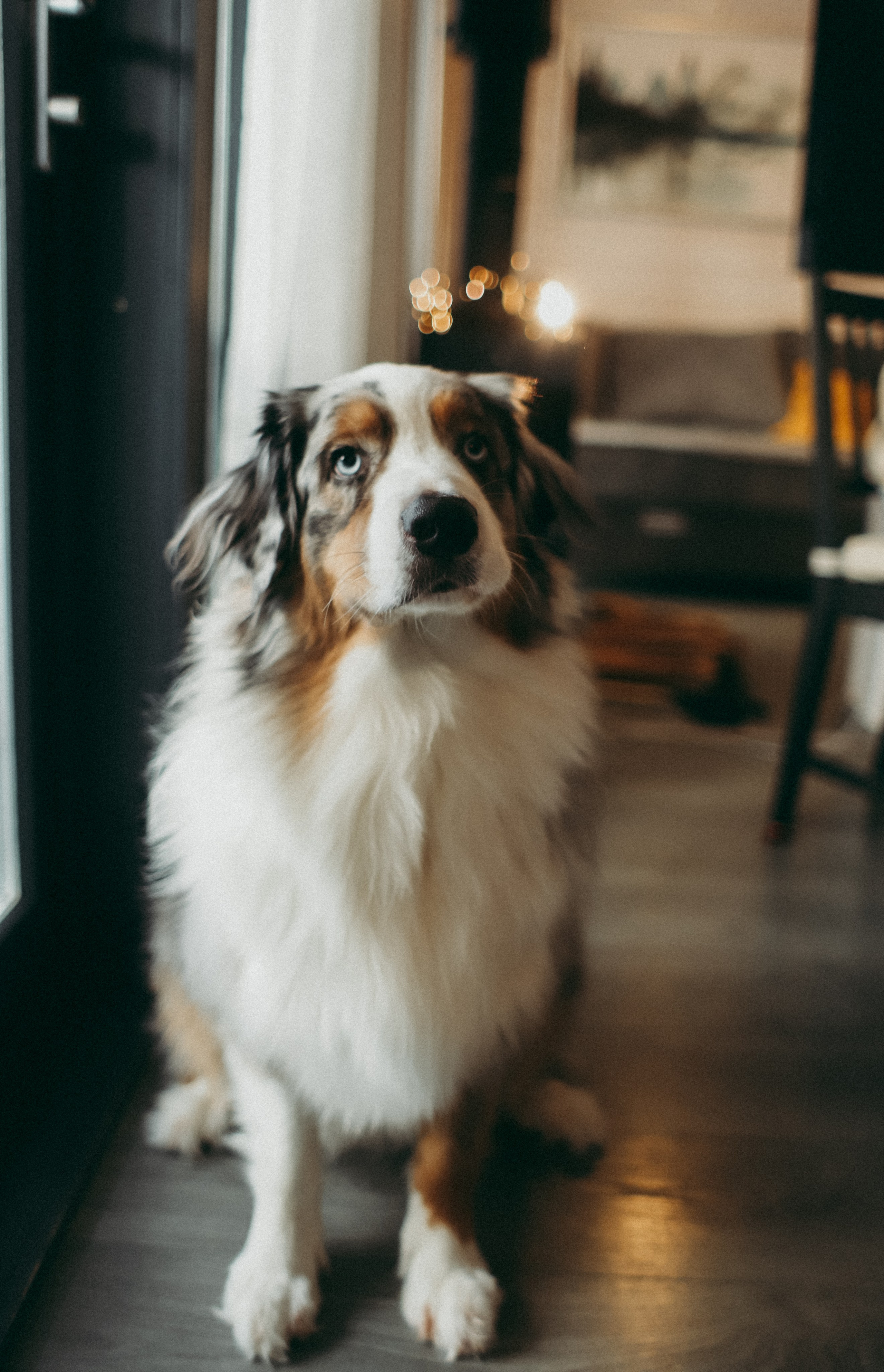 Инна и Вера. Фотограф Москва и Санкт-Петербург