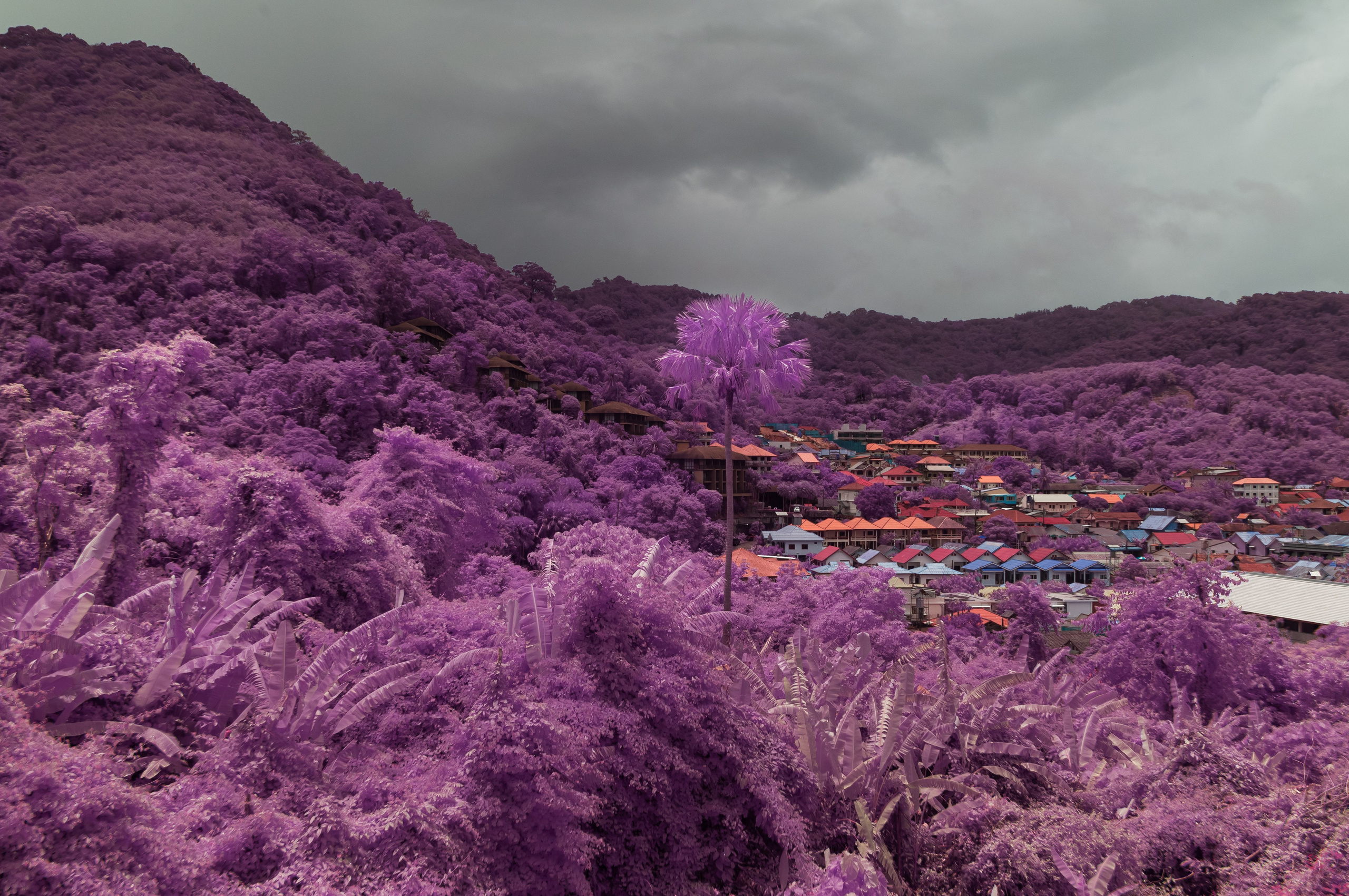 Инфракрасная фотография. Портретный, репортажный и свадебный фотограф в Екатеринбурге Денис Южаков