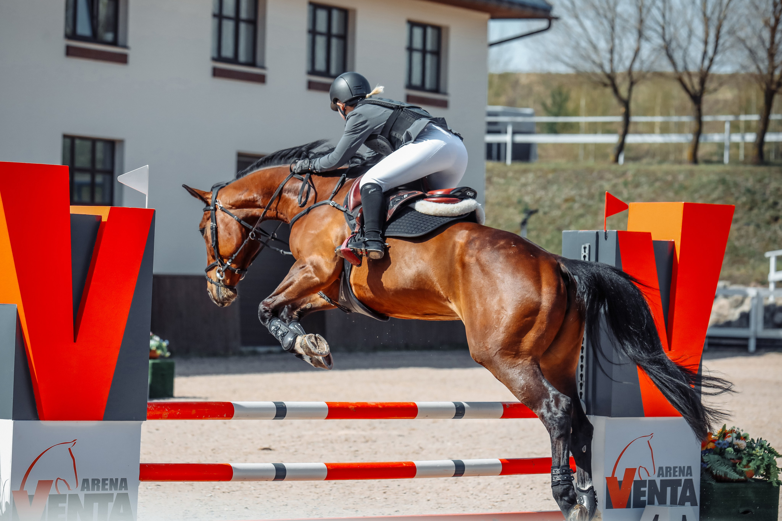 Лошади Евы Демидовой. Ева Демидова. Спортсмен по конкуру в Санкт-Петербуре