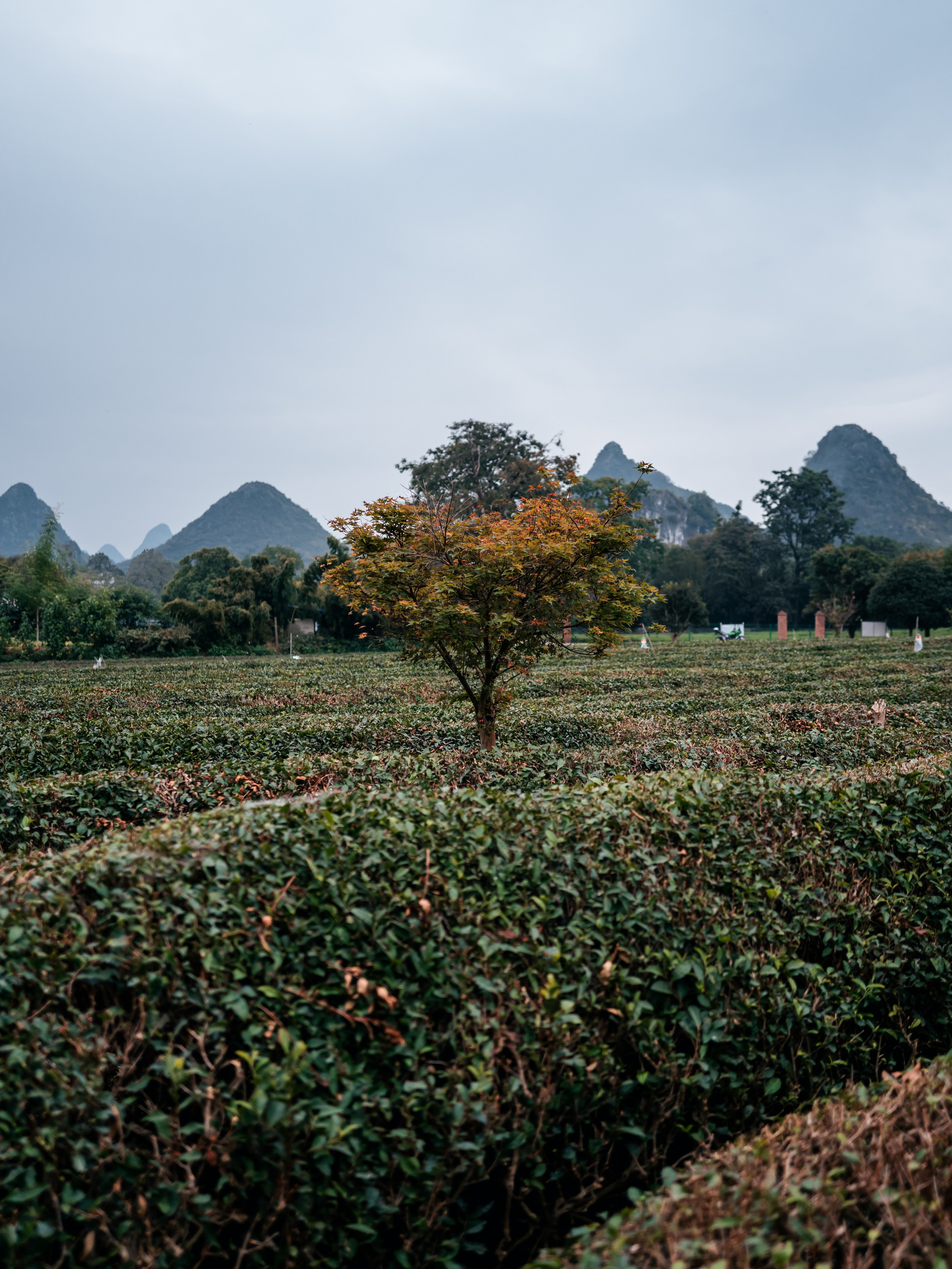 China/Китай. @tomrus: Рустам Шагиморданов — фотограф