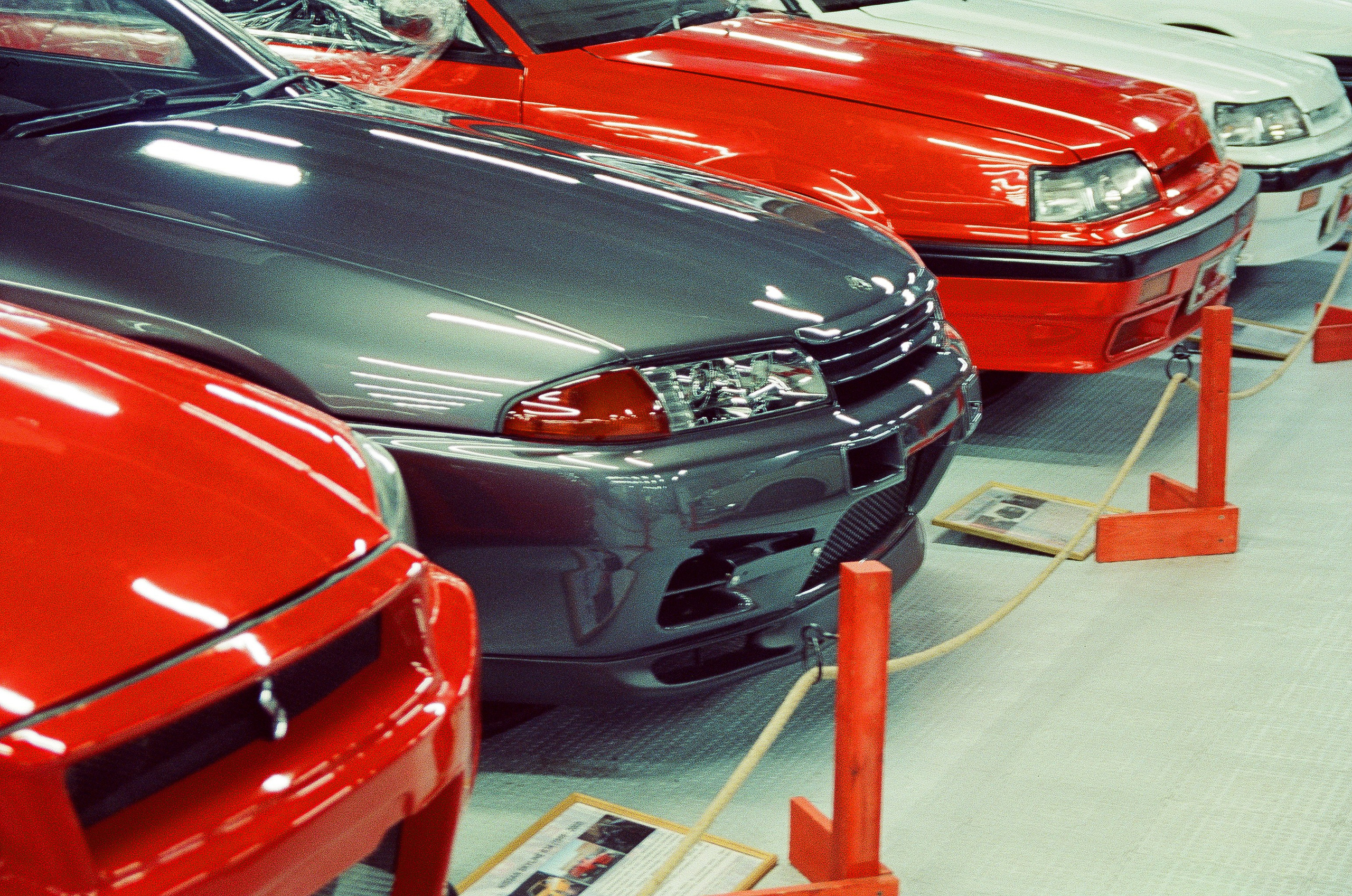 #05пленка. Kodak Vision 3 500T. Minolta Dynax 5. 28-80. Фотограф Наталья Вершинина