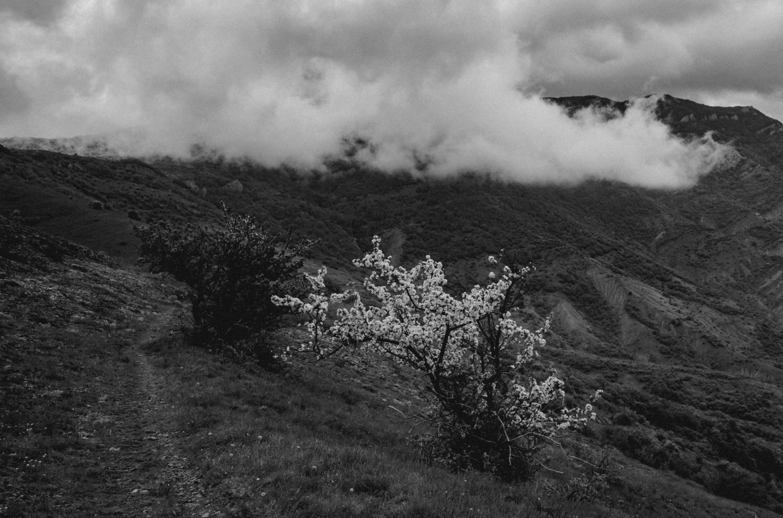 Crimea. Игорь Гичка. Портрет с любовью