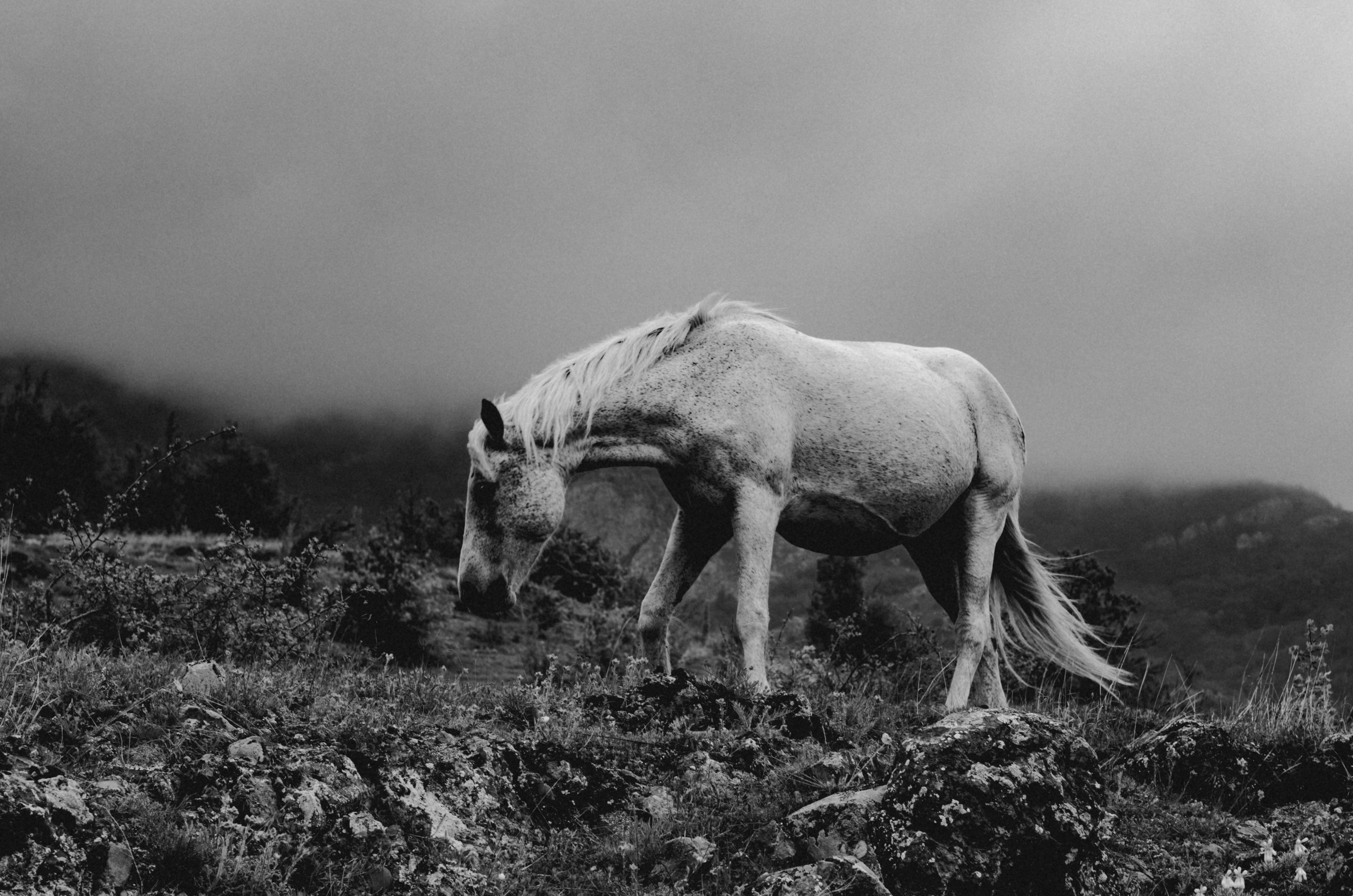 Crimea. Игорь Гичка. Портрет с любовью