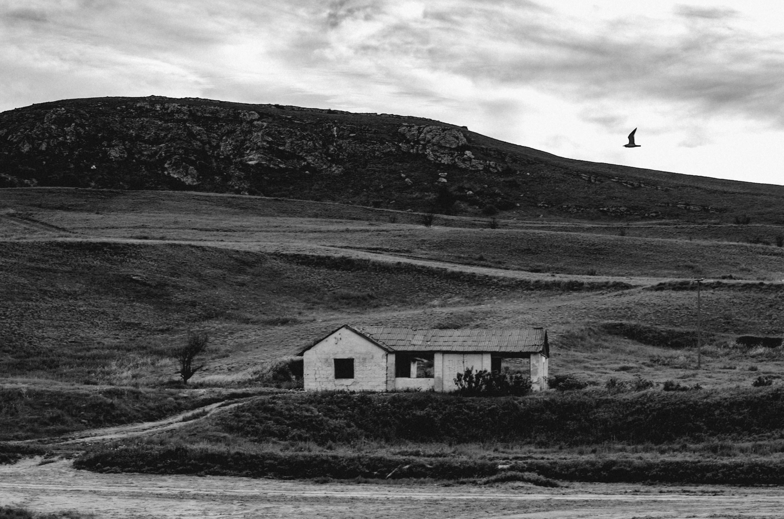 Crimea. Игорь Гичка. Портрет с любовью