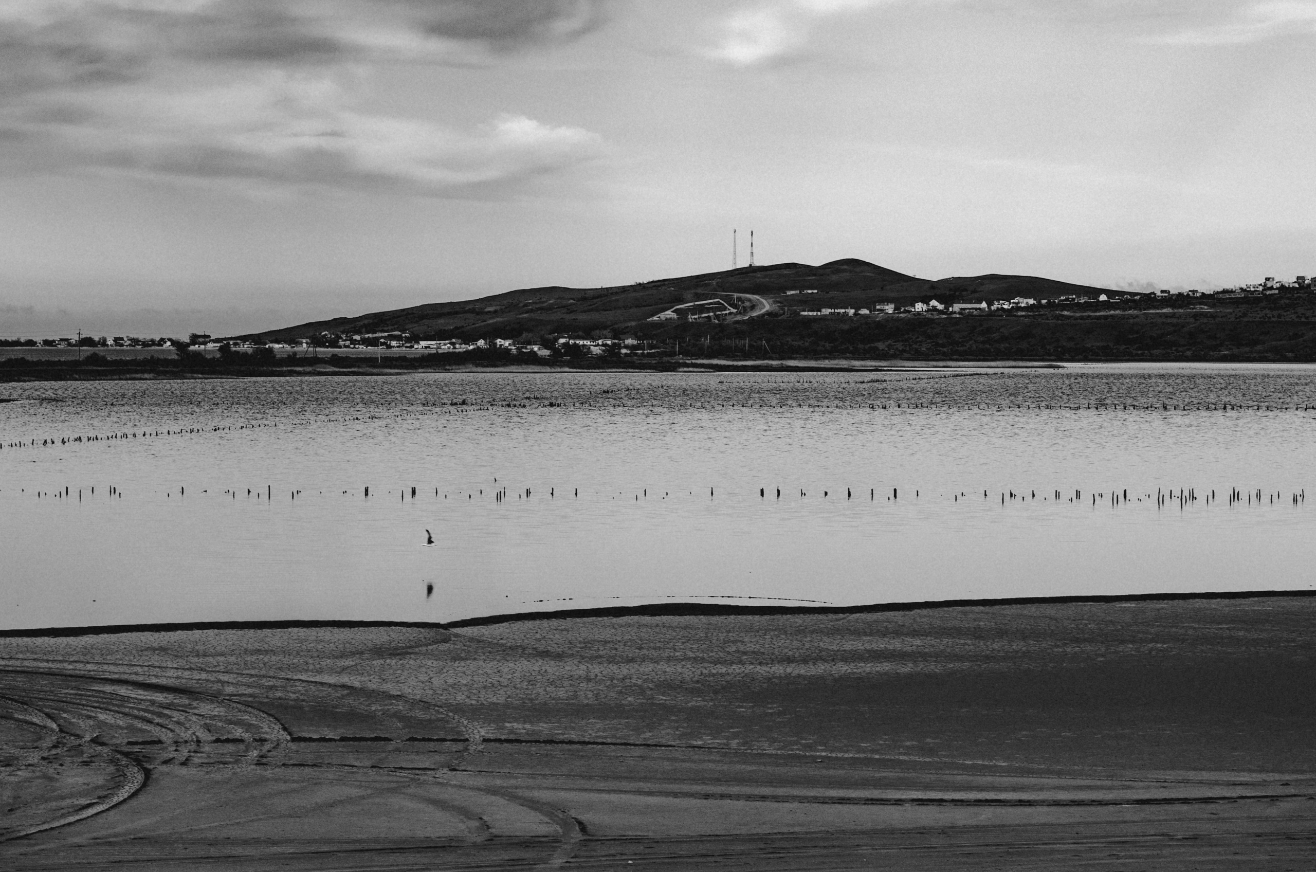 Crimea. Игорь Гичка. Портрет с любовью