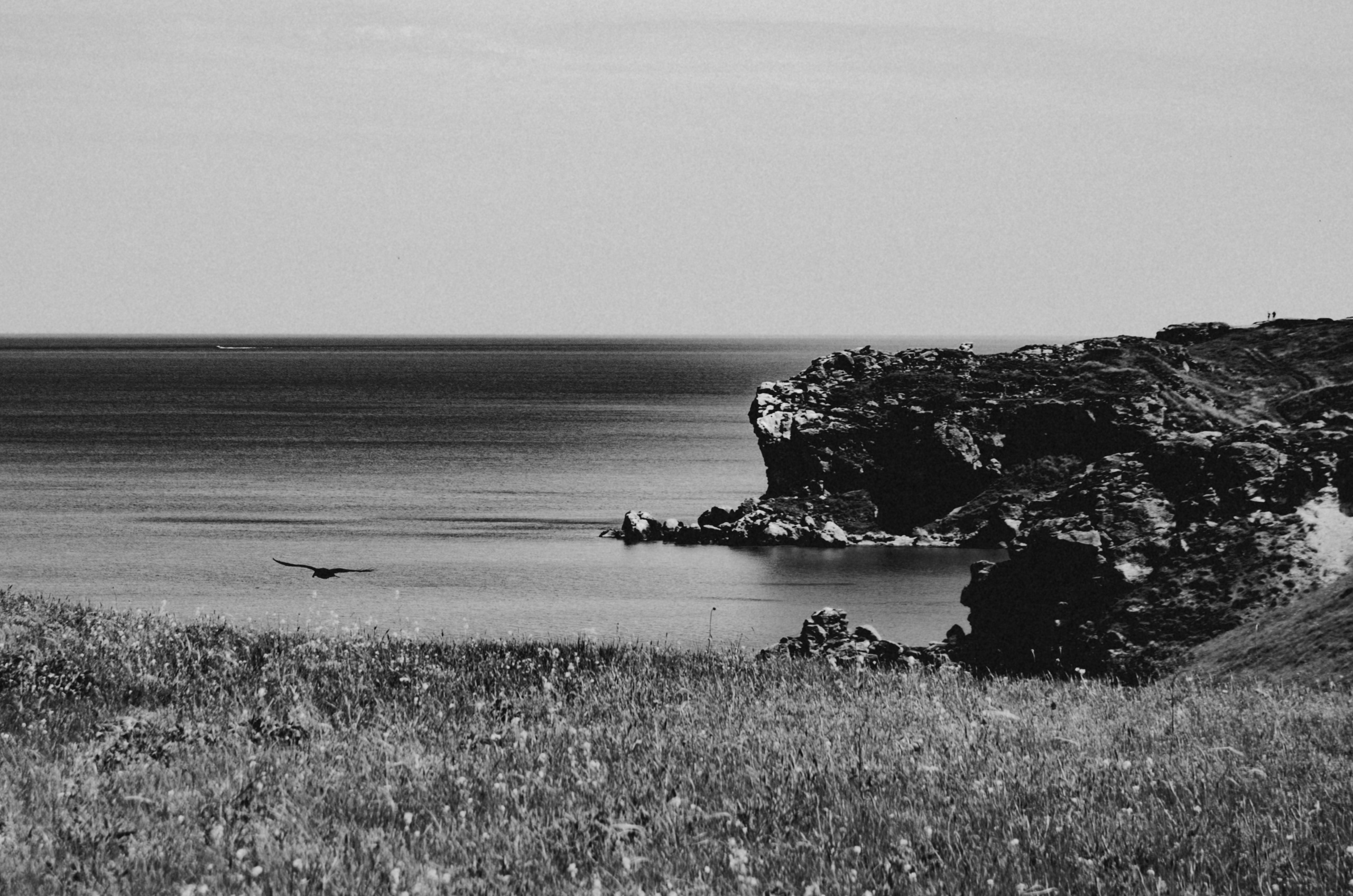 Crimea. Игорь Гичка. Портрет с любовью