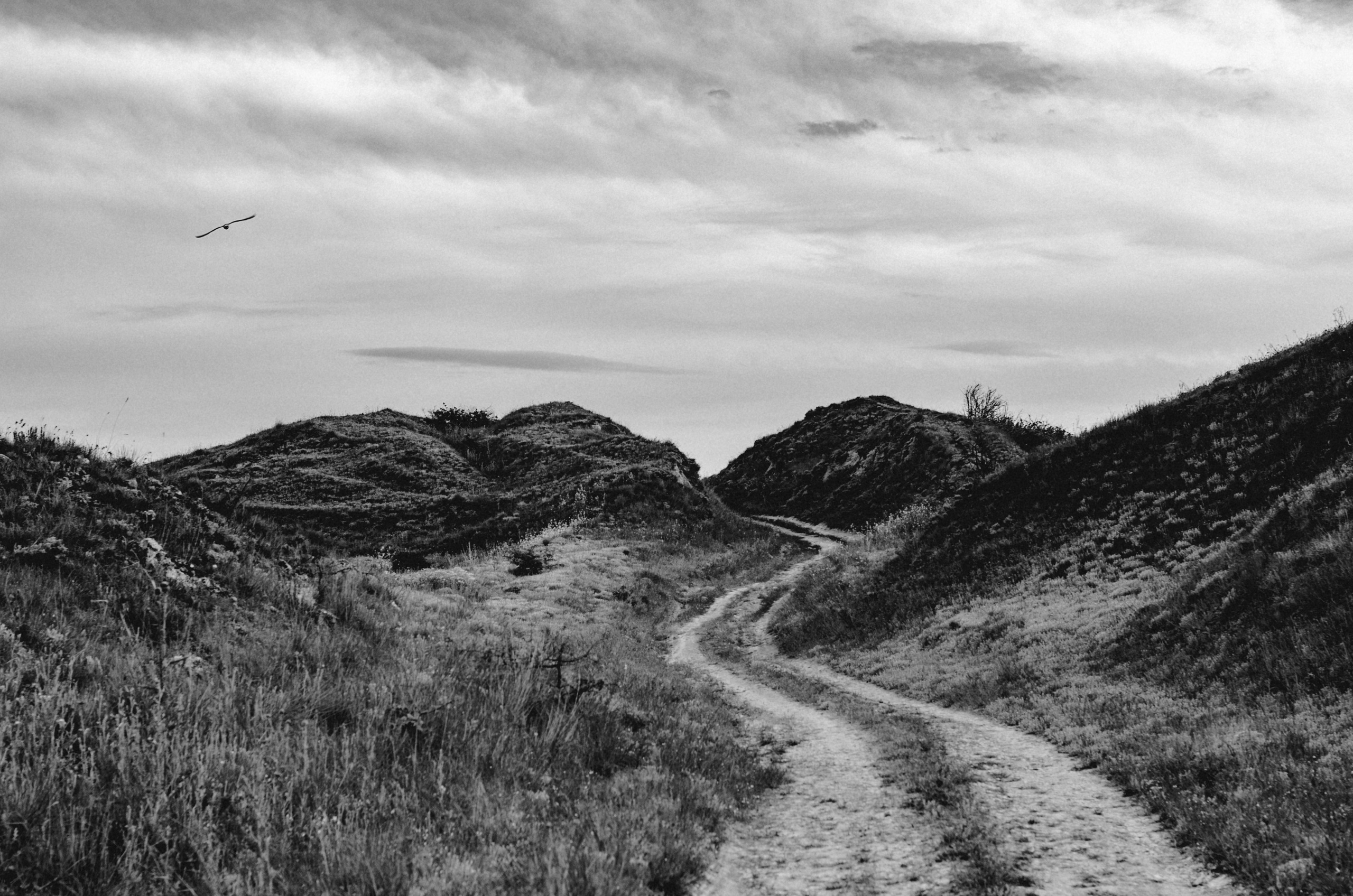 Crimea. Игорь Гичка. Портрет с любовью