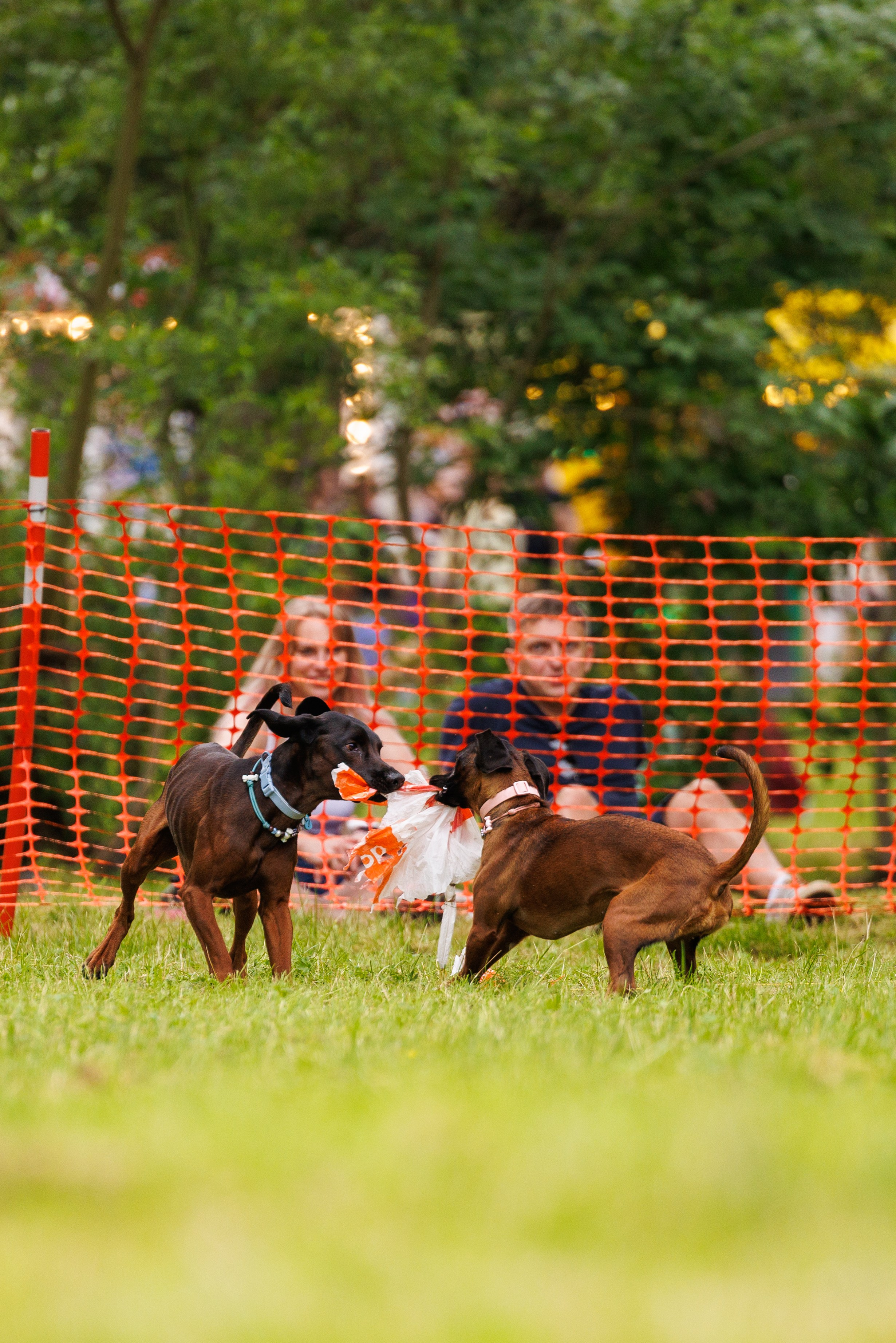 PetShopDays2026. Фотограф Александр Заломаев