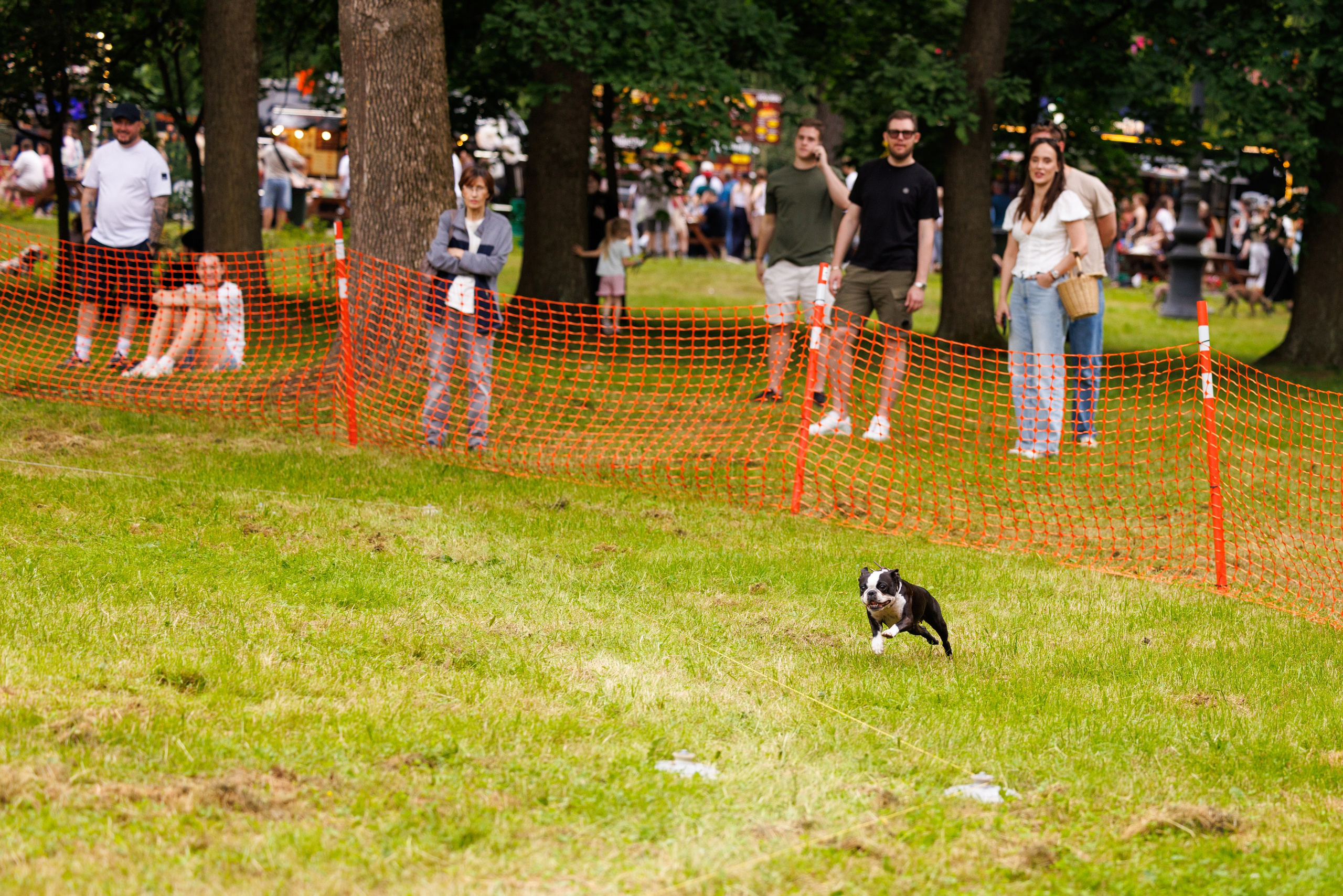 PetShopDays2026. Фотограф Александр Заломаев