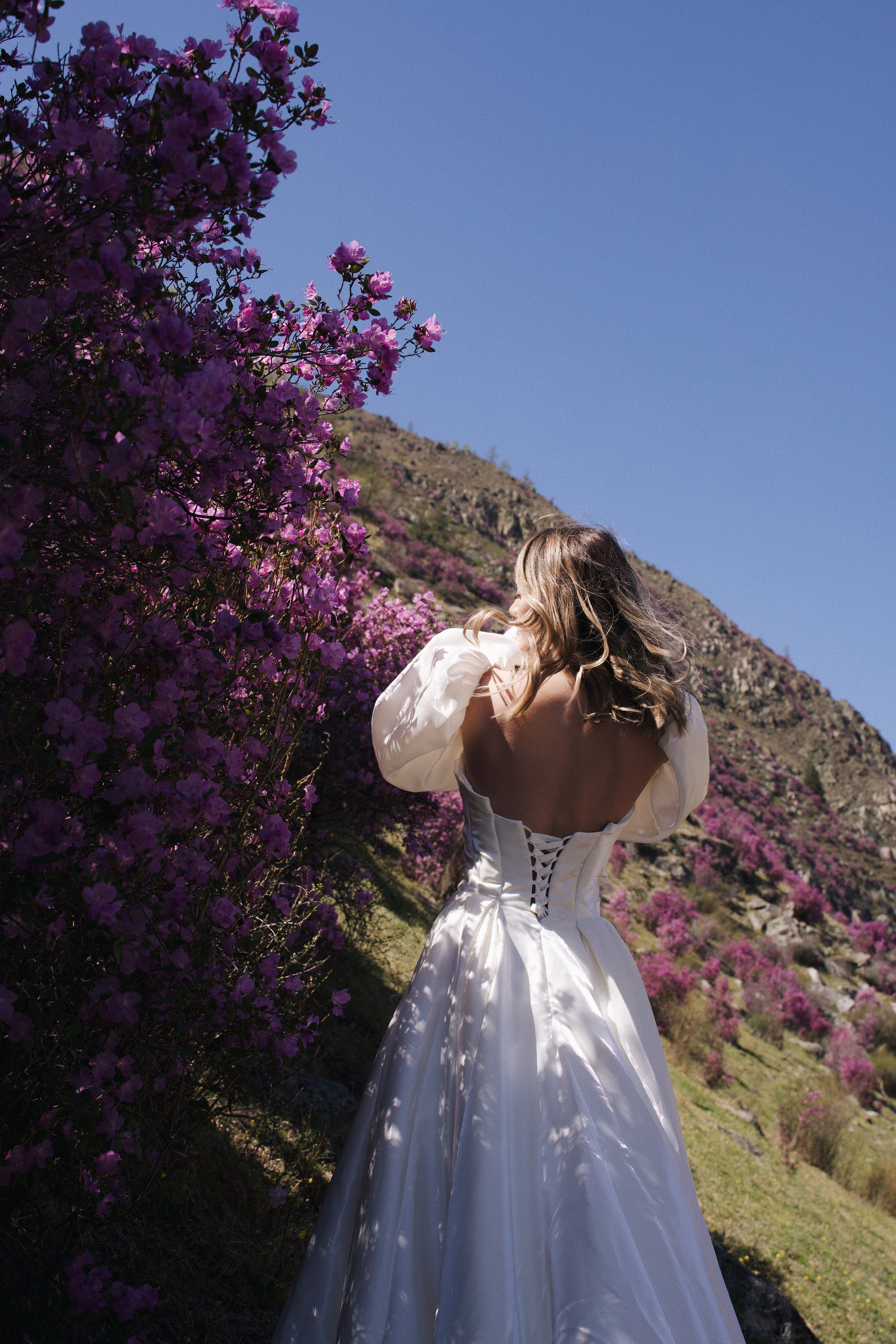 Bonfilia. Photokoval.ru