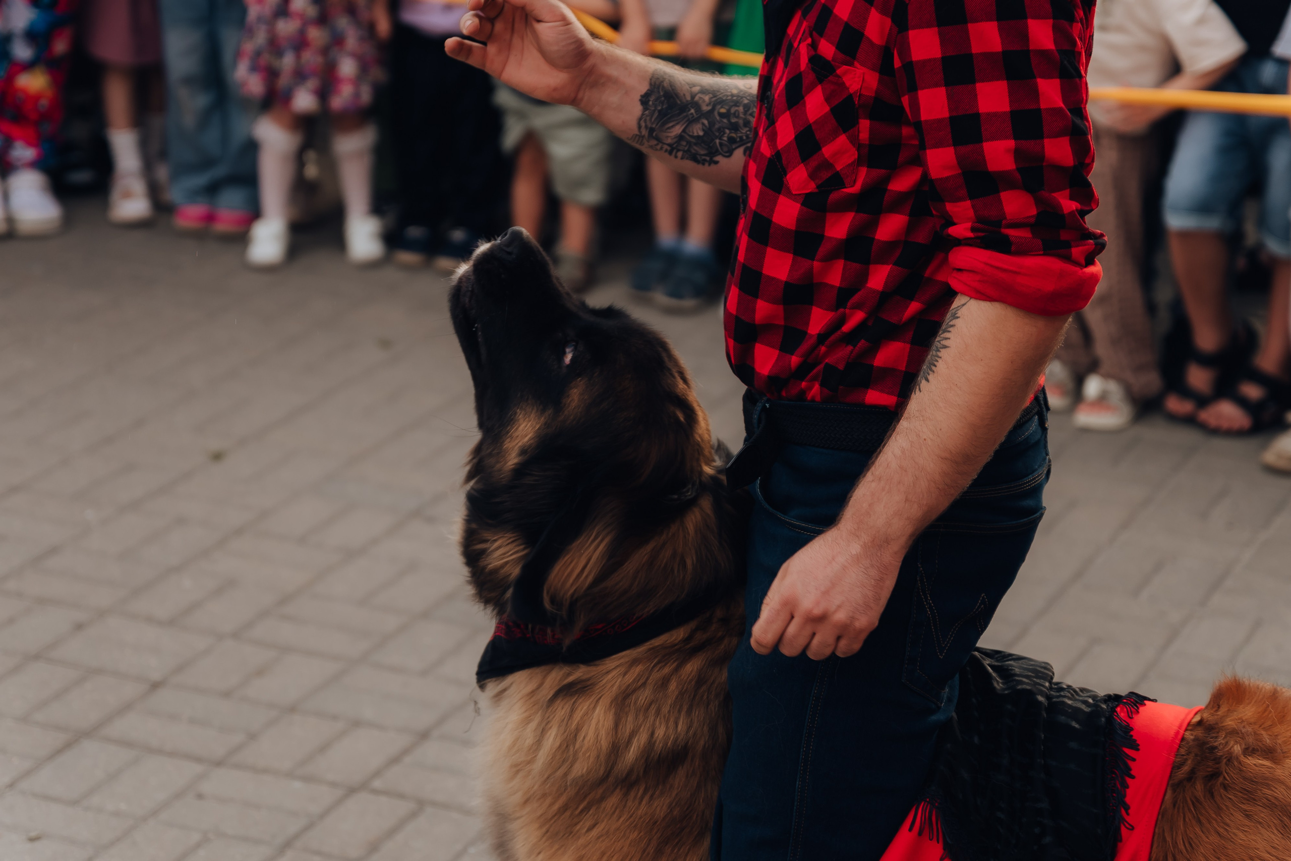 Открытие Мультифокс. Детский и семейный фотограф Катерина Мишина