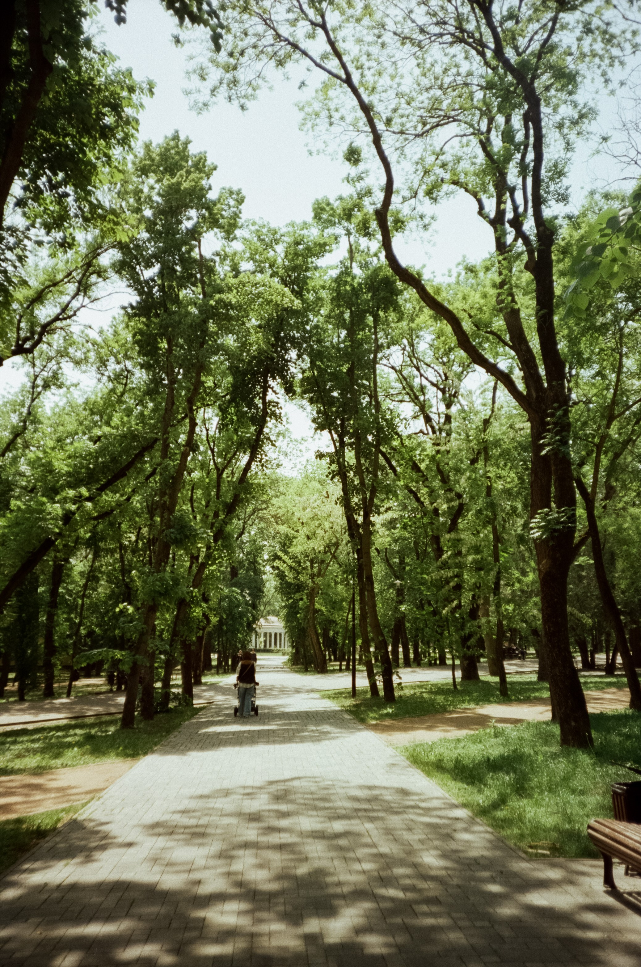 Прогулка в Ессентуках. Ловим солнце в завершении отдыха. Фотограф-документалист Мария Осокина