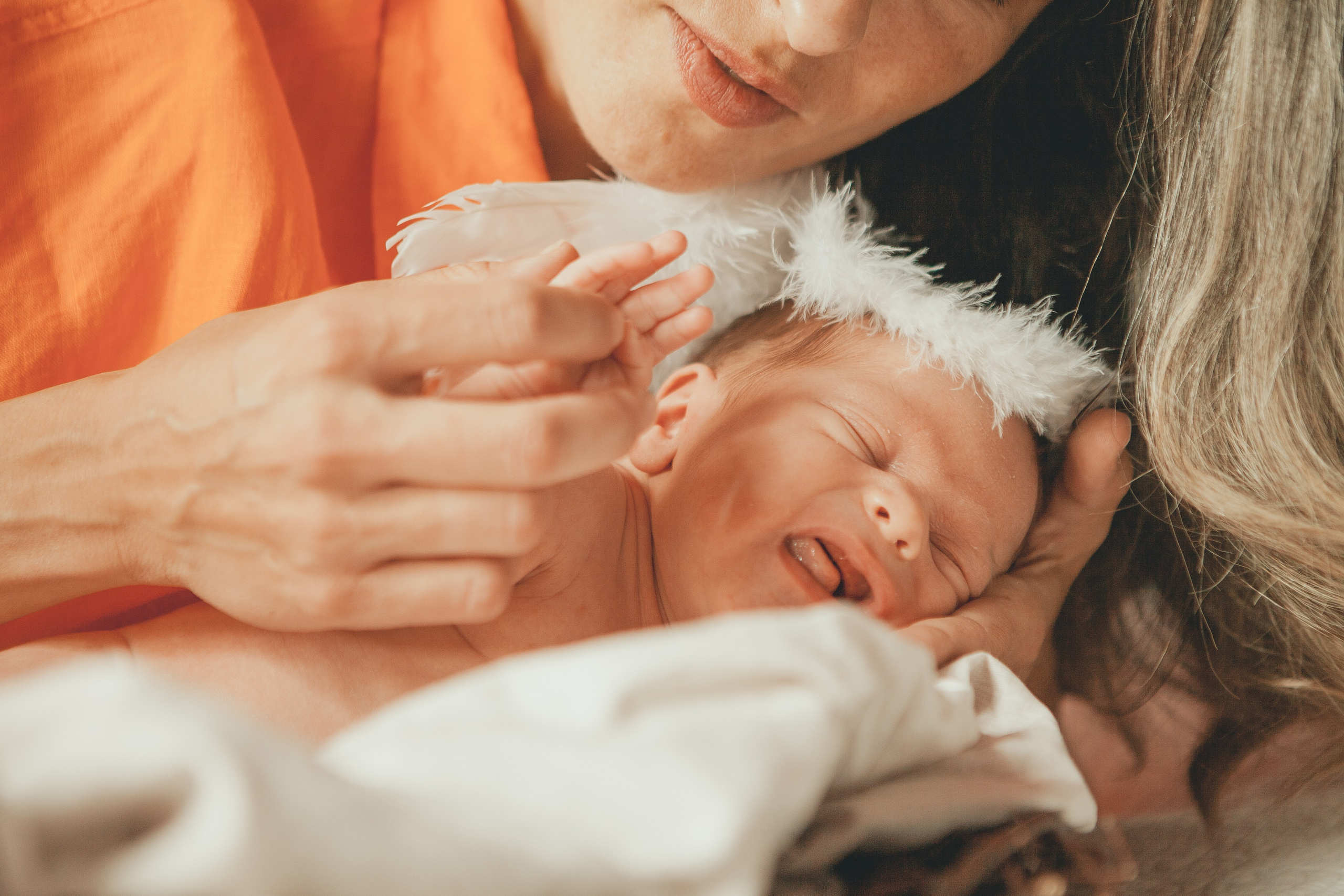 Гордей. Фотограф Ольга Ефремова