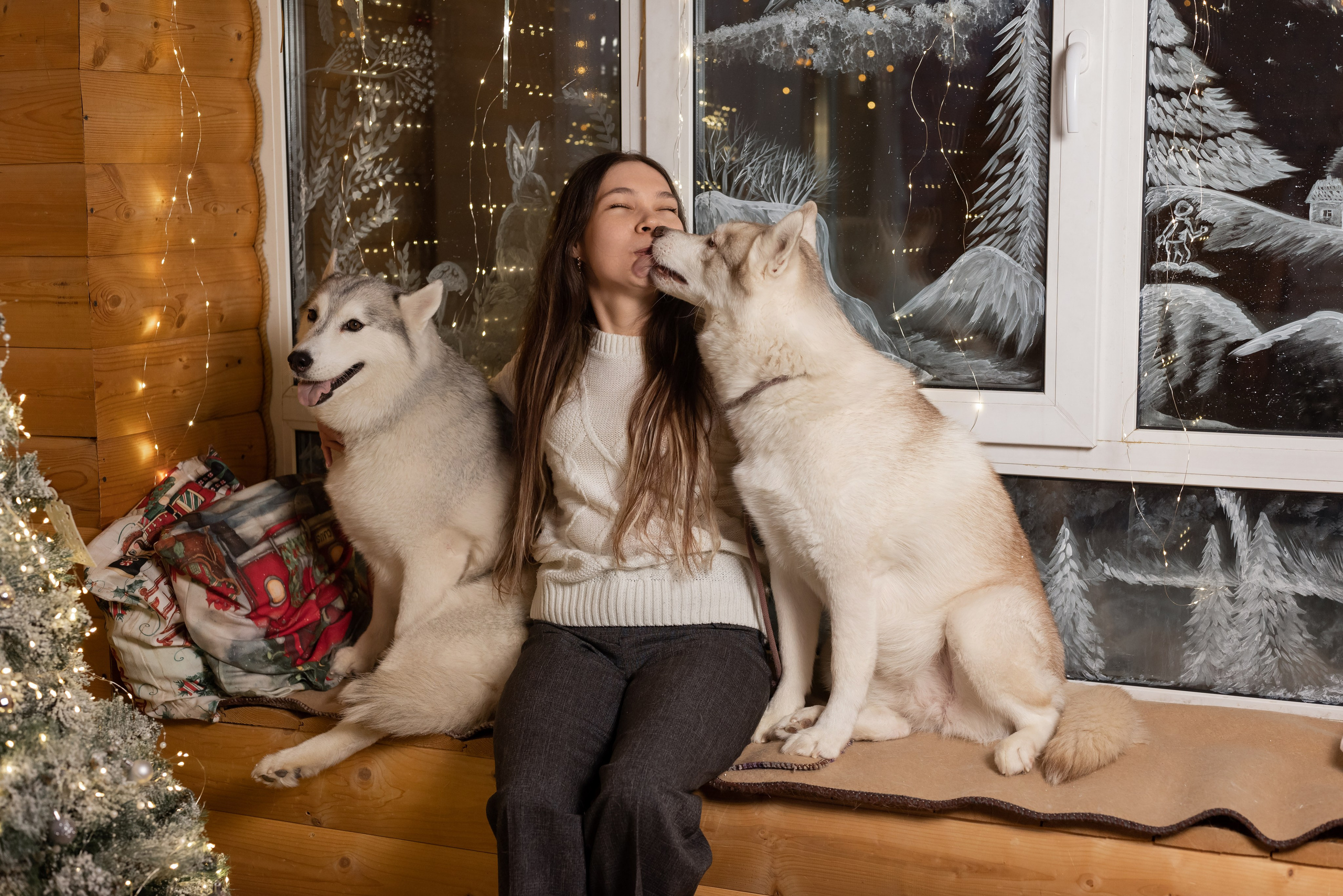 Фотопроект с хаски в частном доме. Фотограф в городе Салават