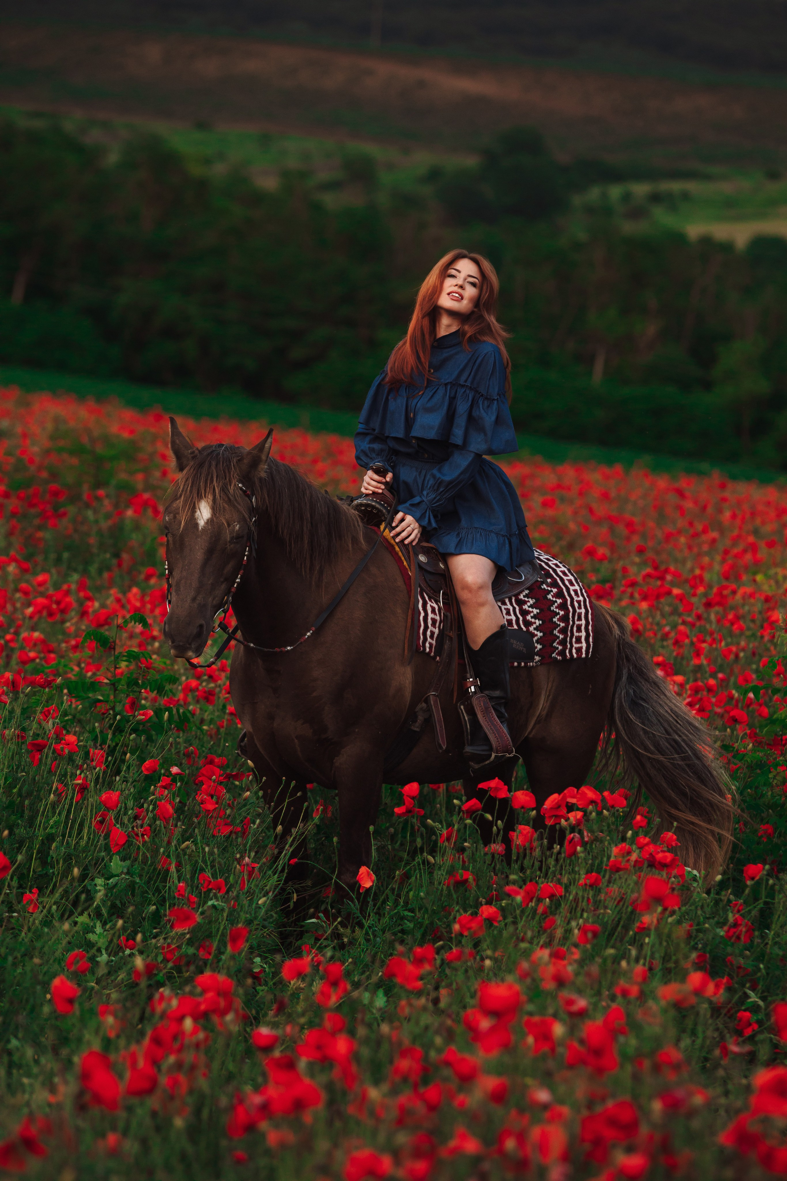 Маковые поля. Конный и театральный фотограф Анапа