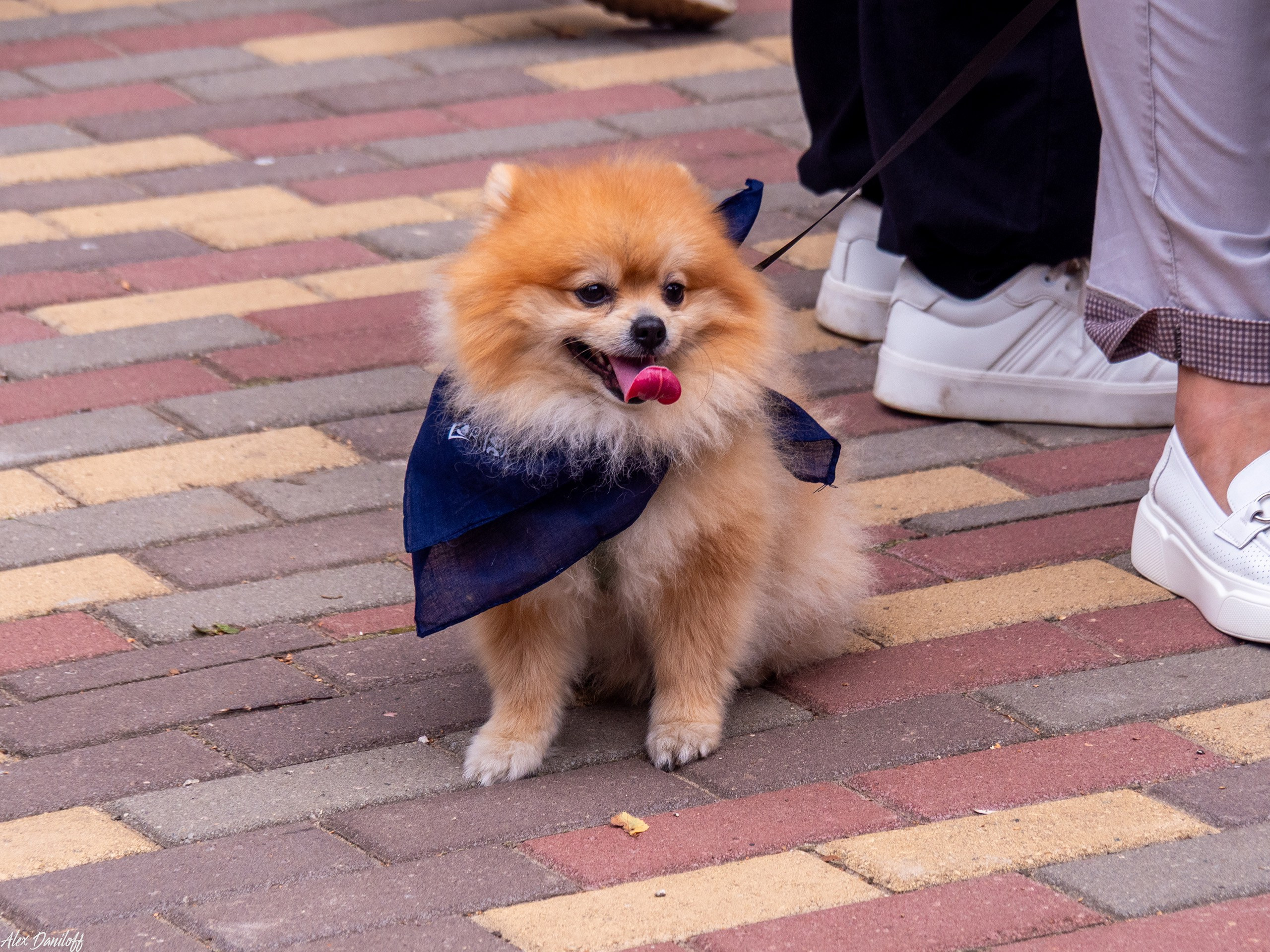 Обнимака 2025. Муром-Инфо. Новости культуры, образования, спорта в городе Муром