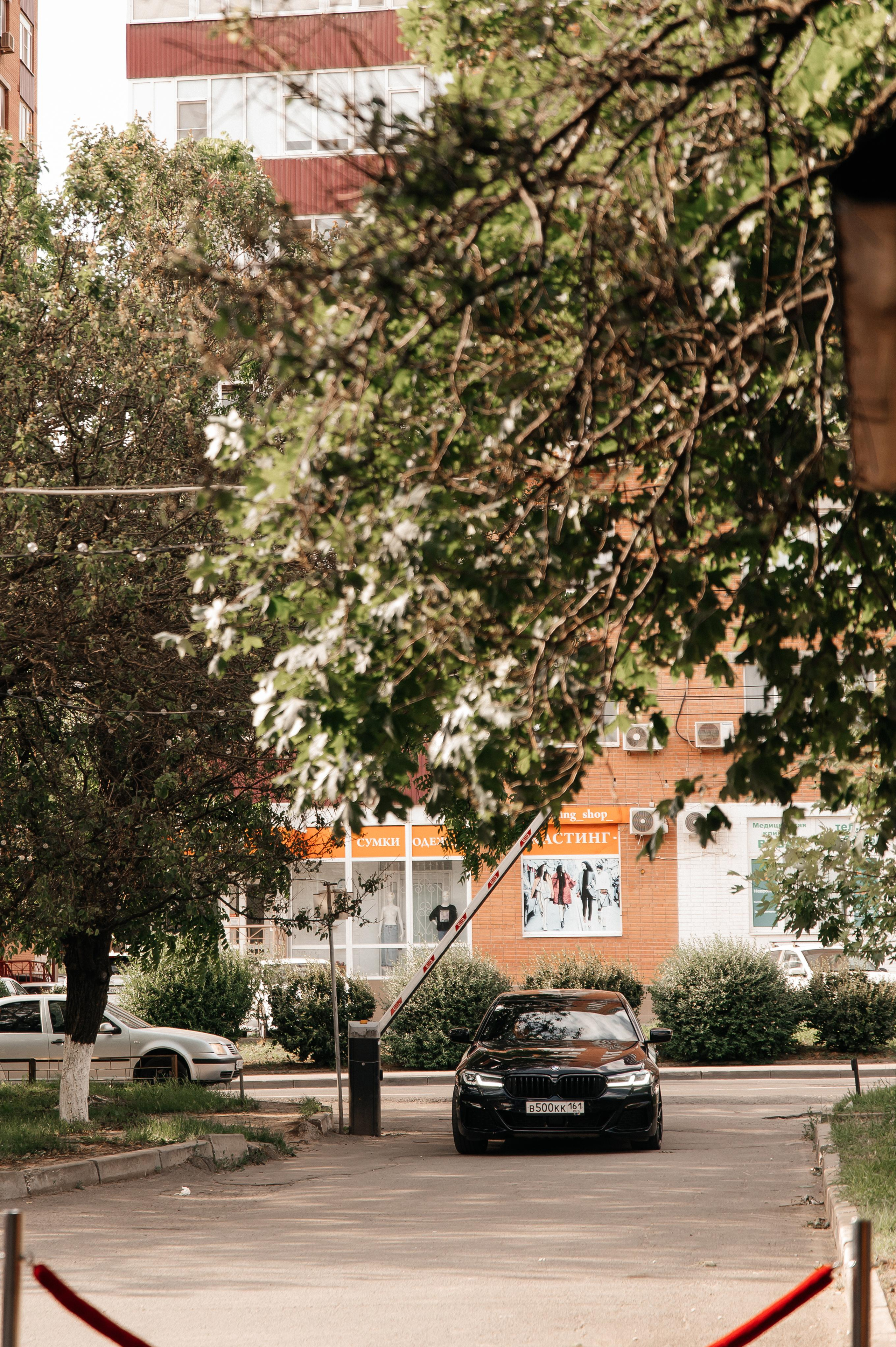 D & V. Мария — Свадебный фотограф