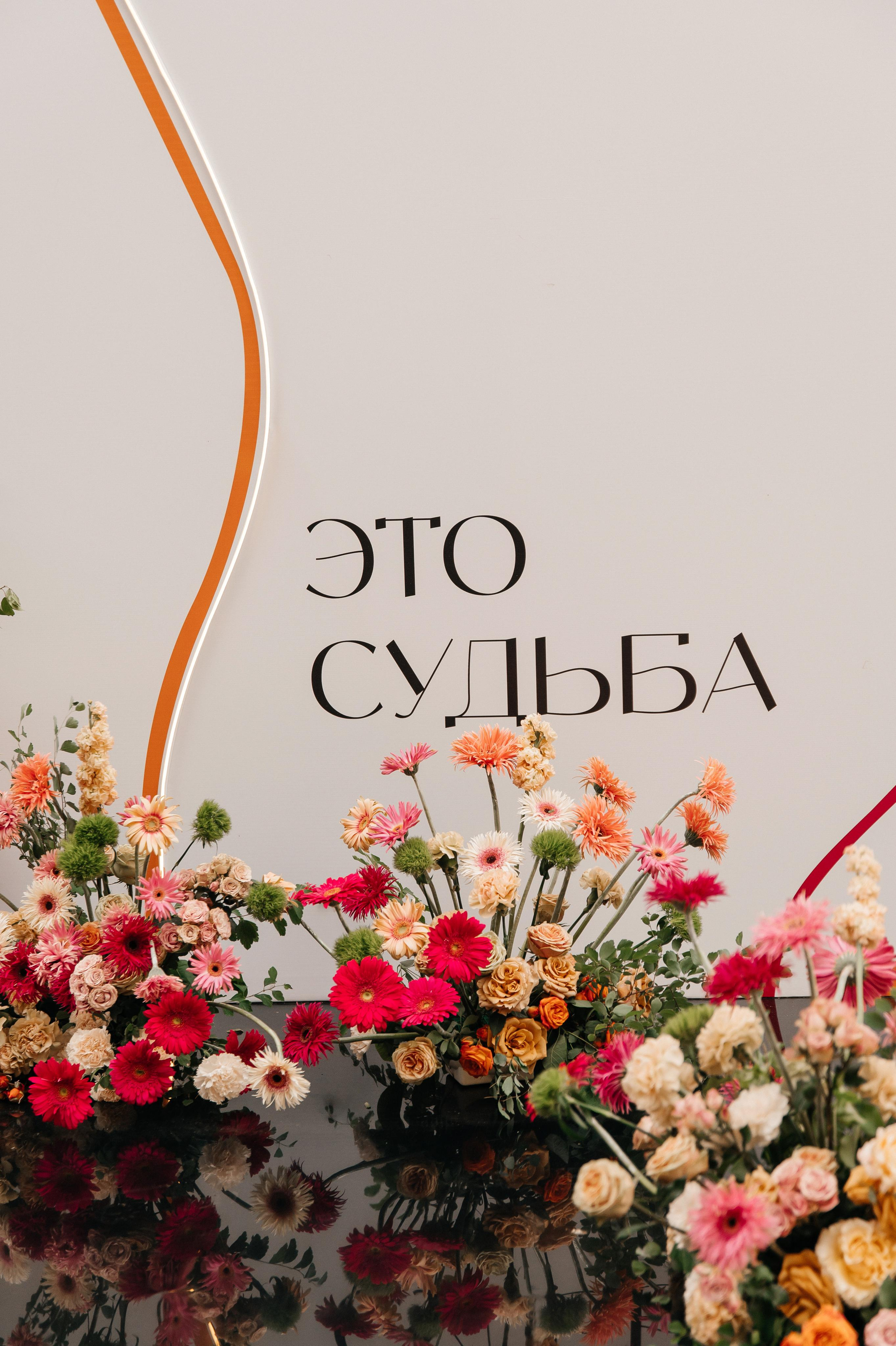 D & V. Мария — Свадебный фотограф