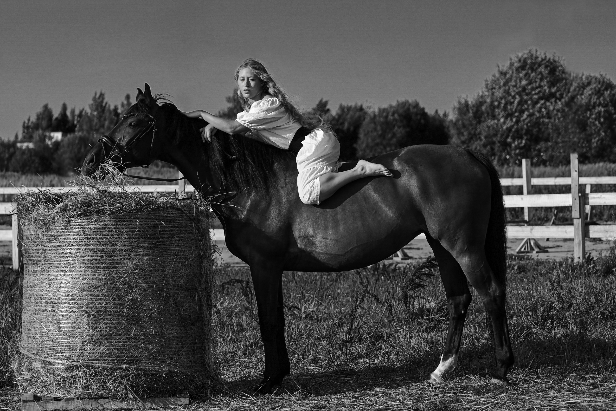 Конные портреты. Фотограф Зноева Ирина (Gvenya)