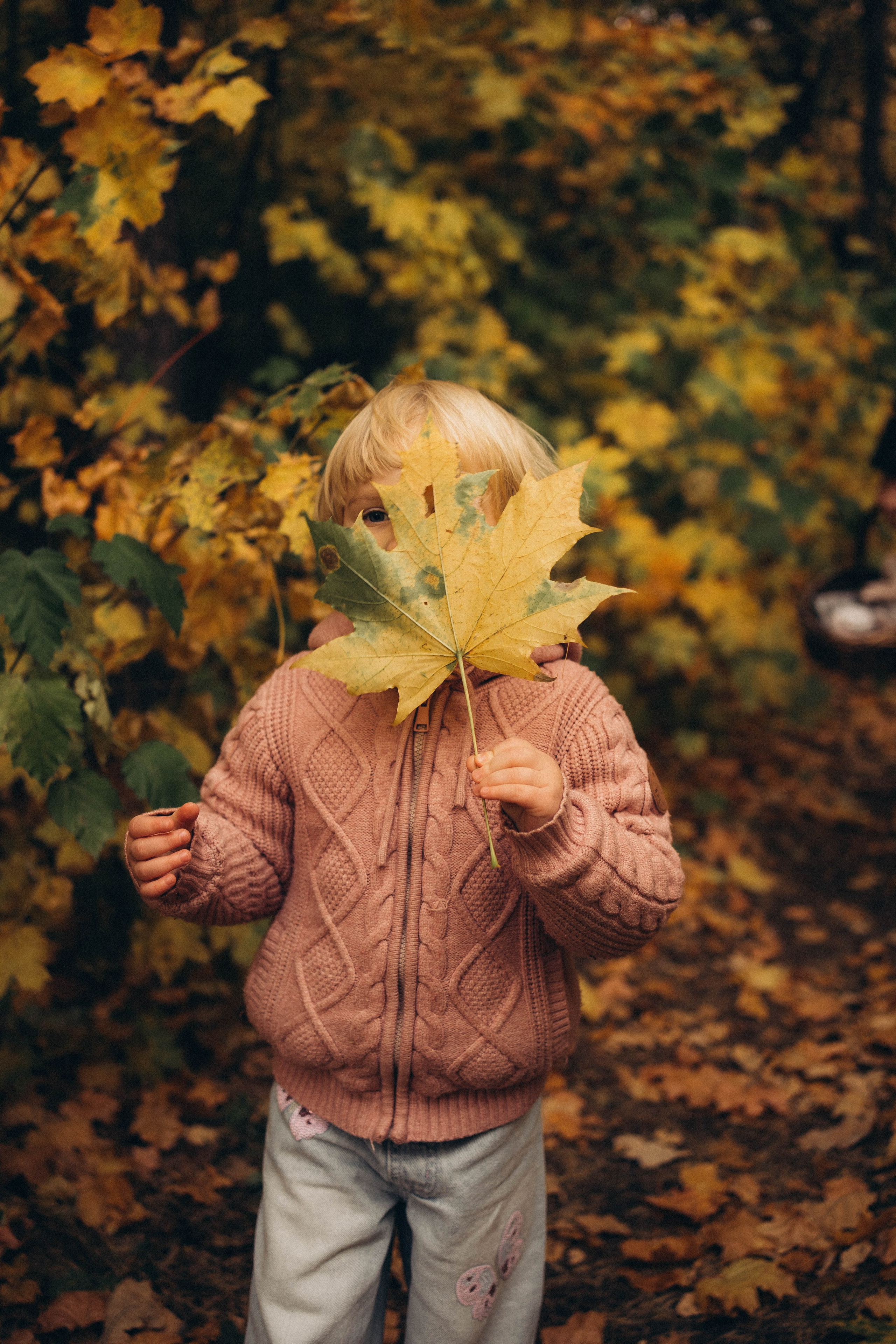 осенняя фотосессия ульяновск