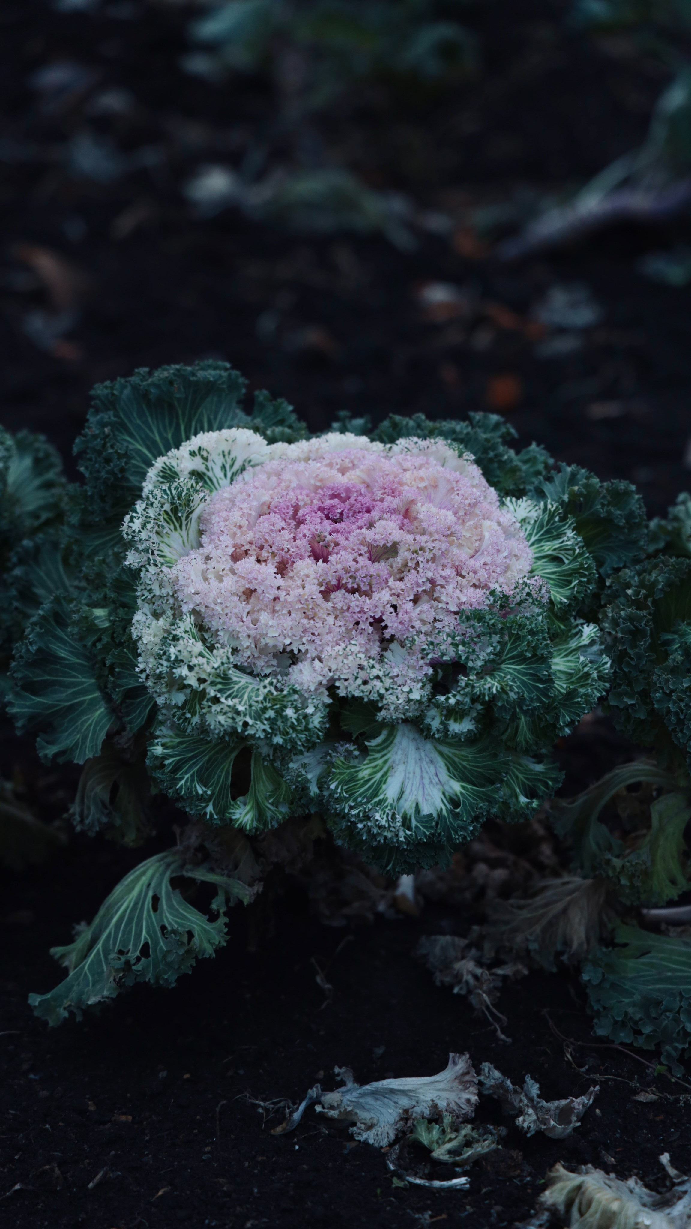 Все, что вокруг меня. Фотограф Евгения Ошкина, Саранск