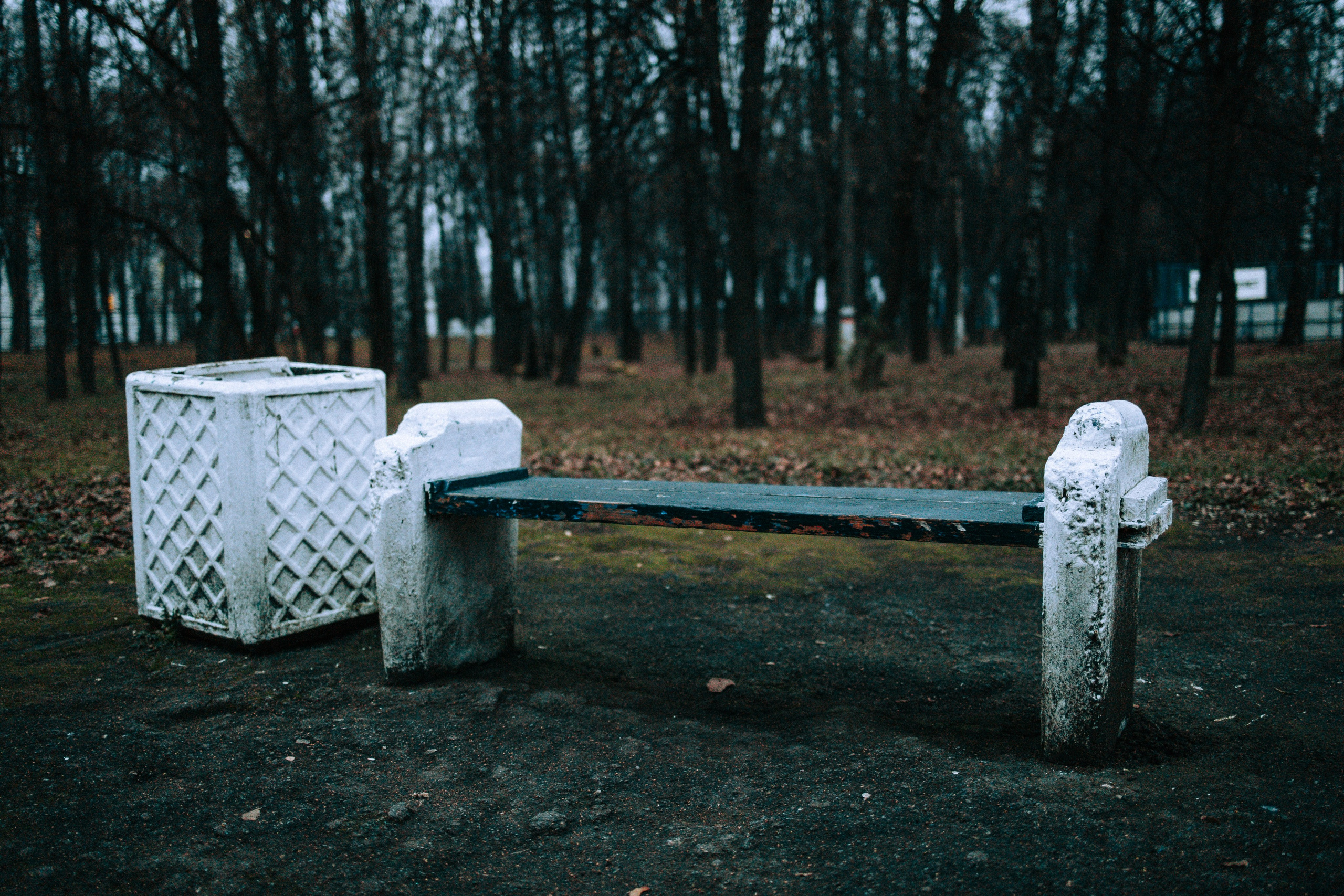 Вечерний ноябрь. Свадебный и семейный фотограф в Туле и области Маша Костина