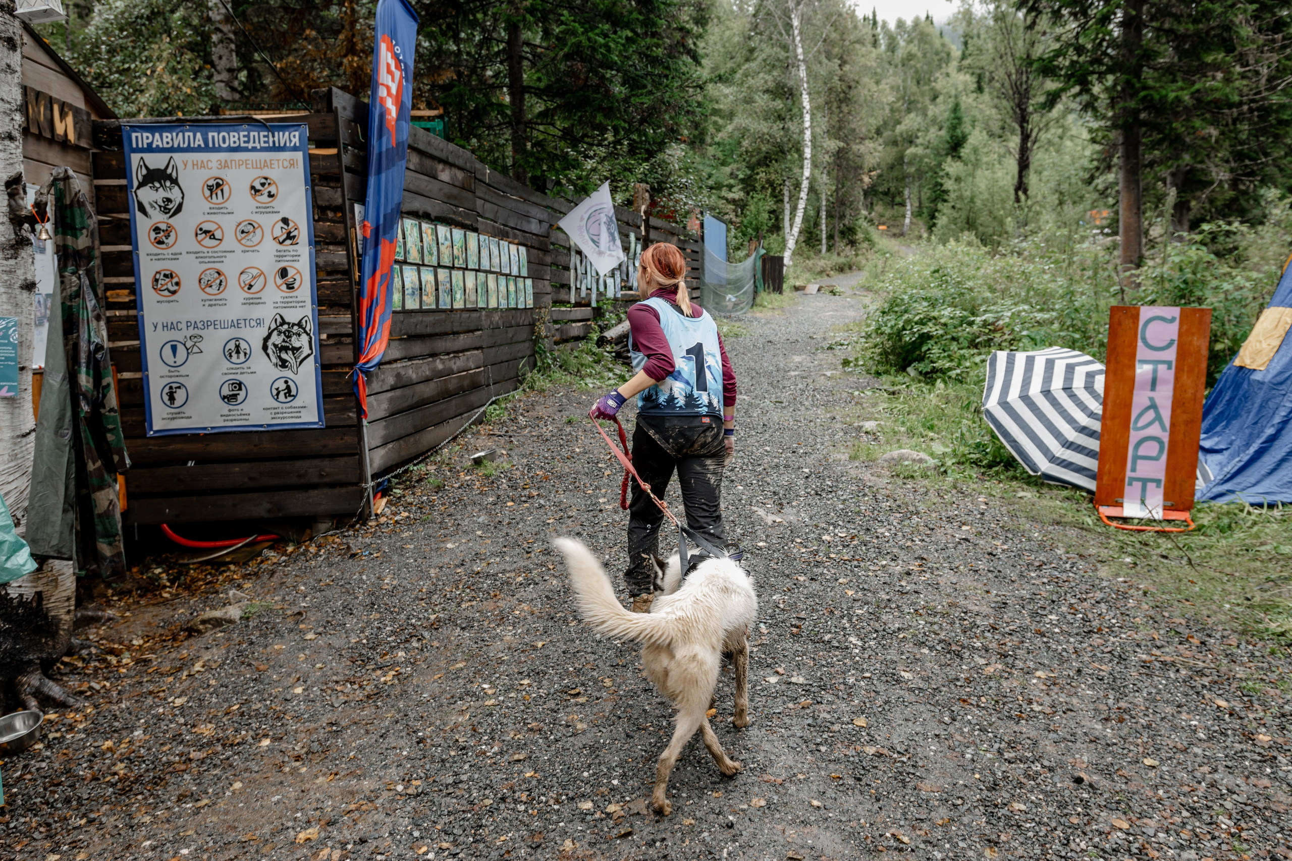 Дог-треккинг