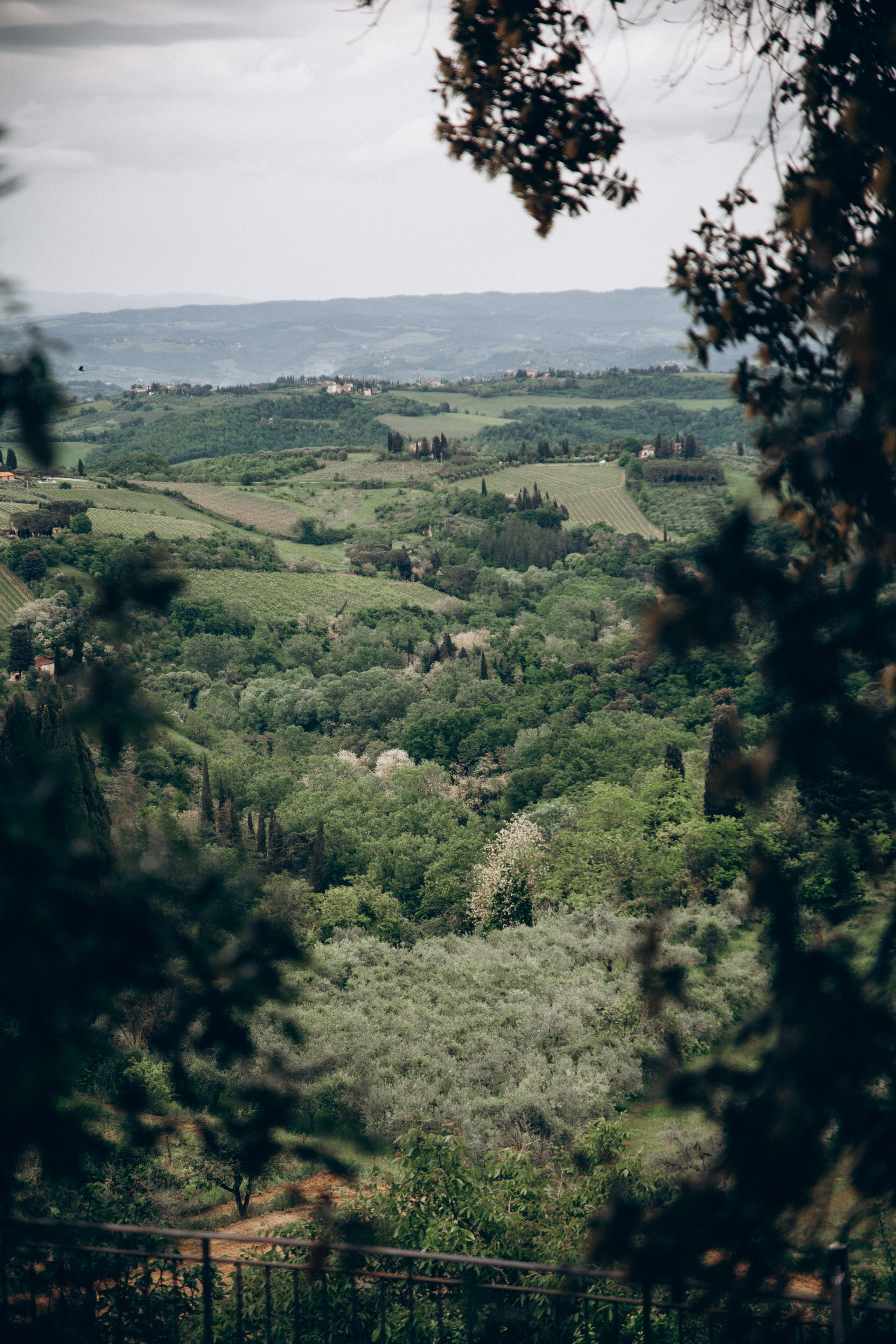 Италия. Репортажный и детский фотограф в Минске