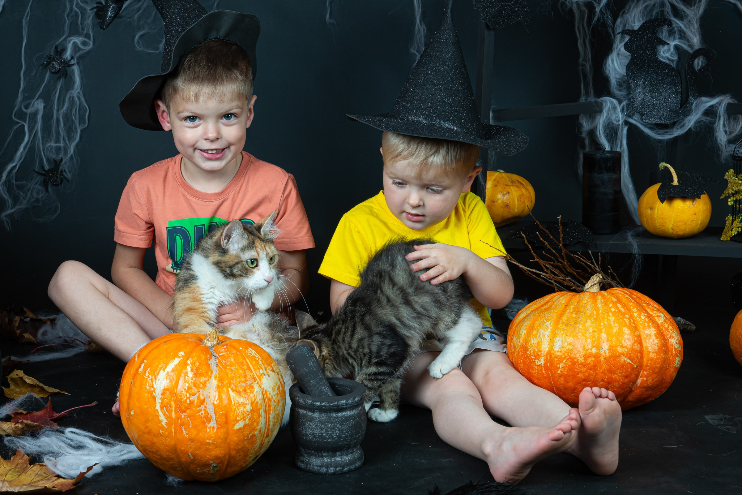 Хеллоуин 2024. Фотограф на Камчатке Анна Моргачёва. Семейные и детские съёмки