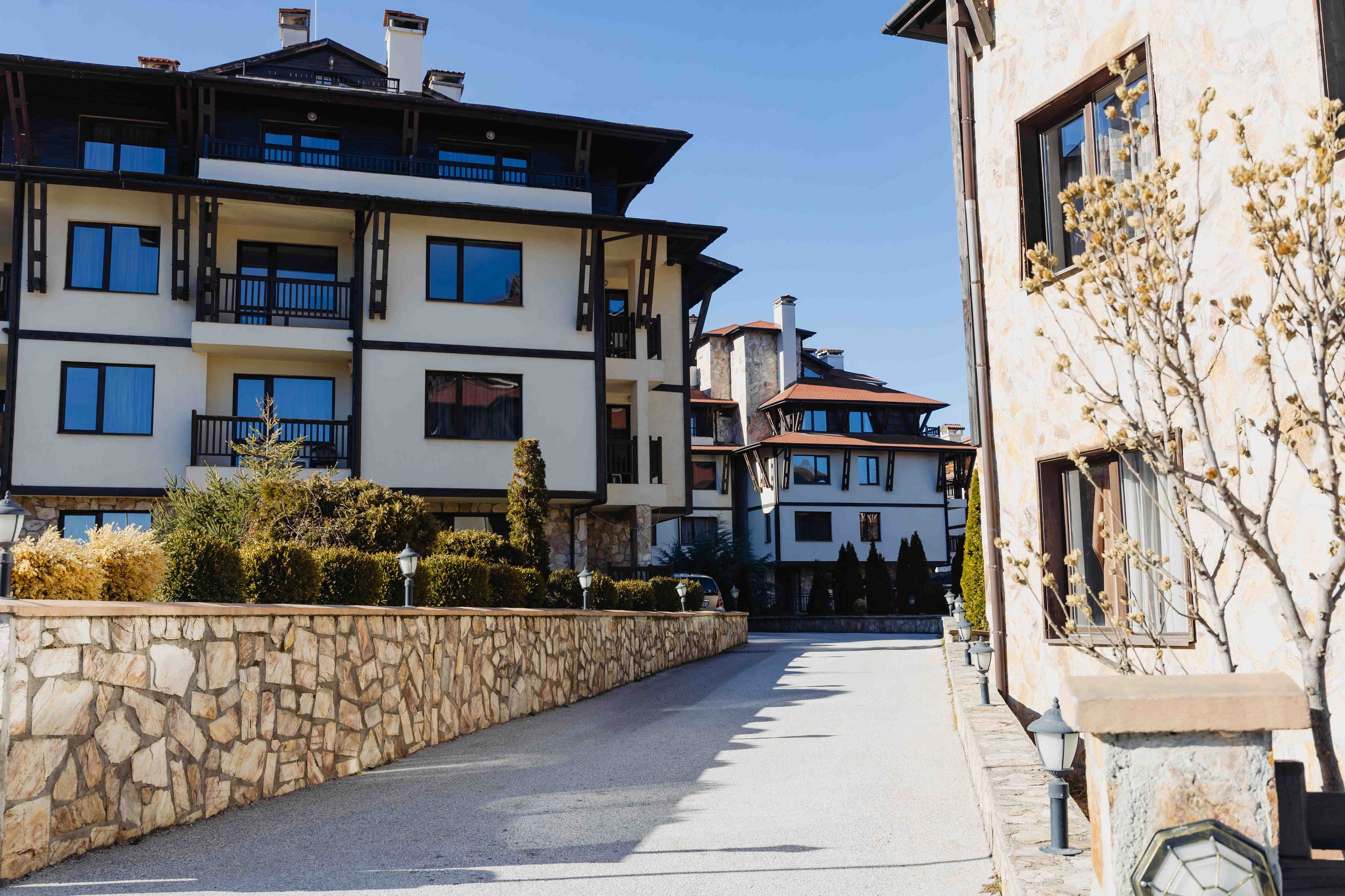 Maria Antoanetta. Лариса Богомолова. Фотограф. Видеограф. Болгария