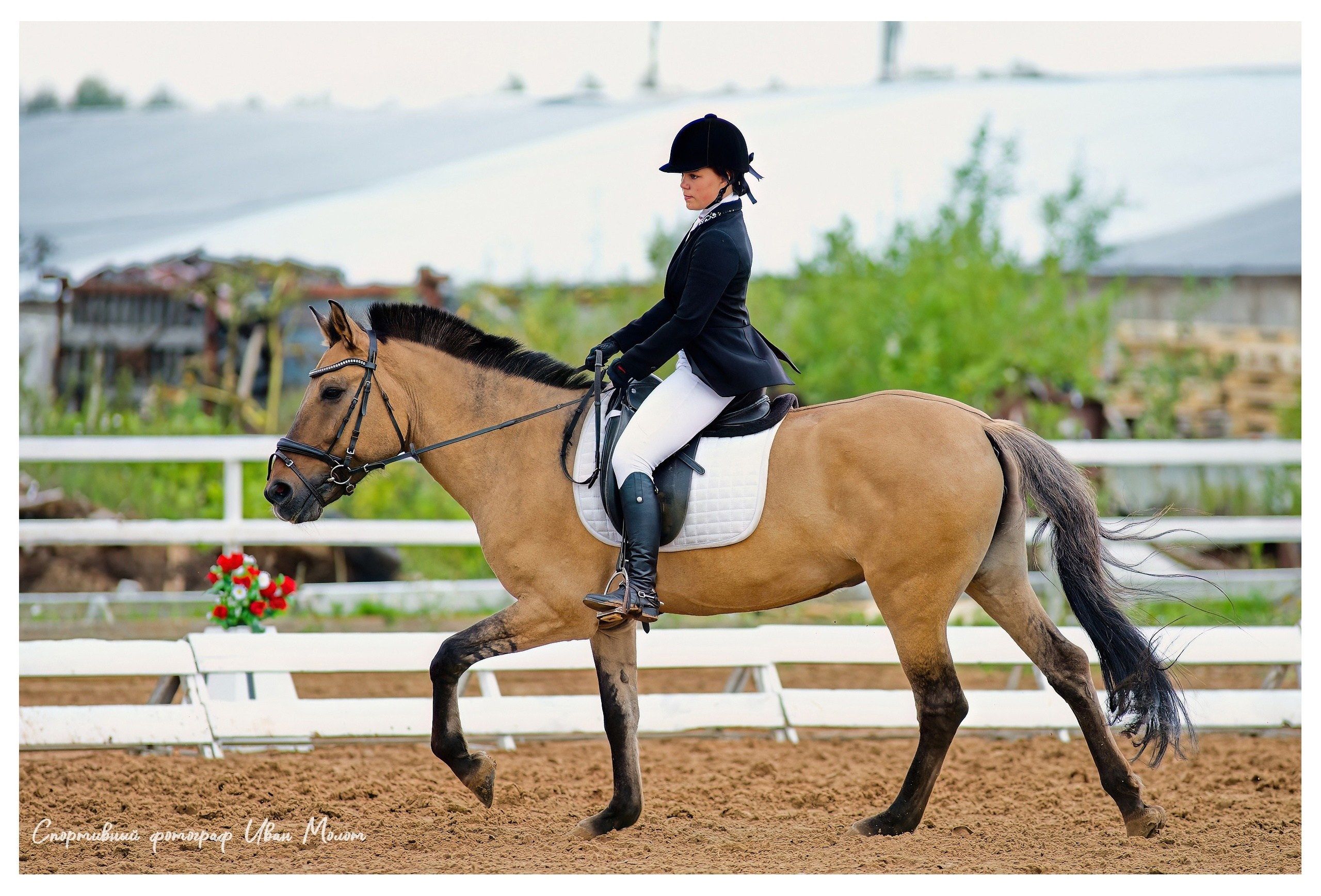 Конный спорт. Спортивный фотограф Иван Молот (Киров)