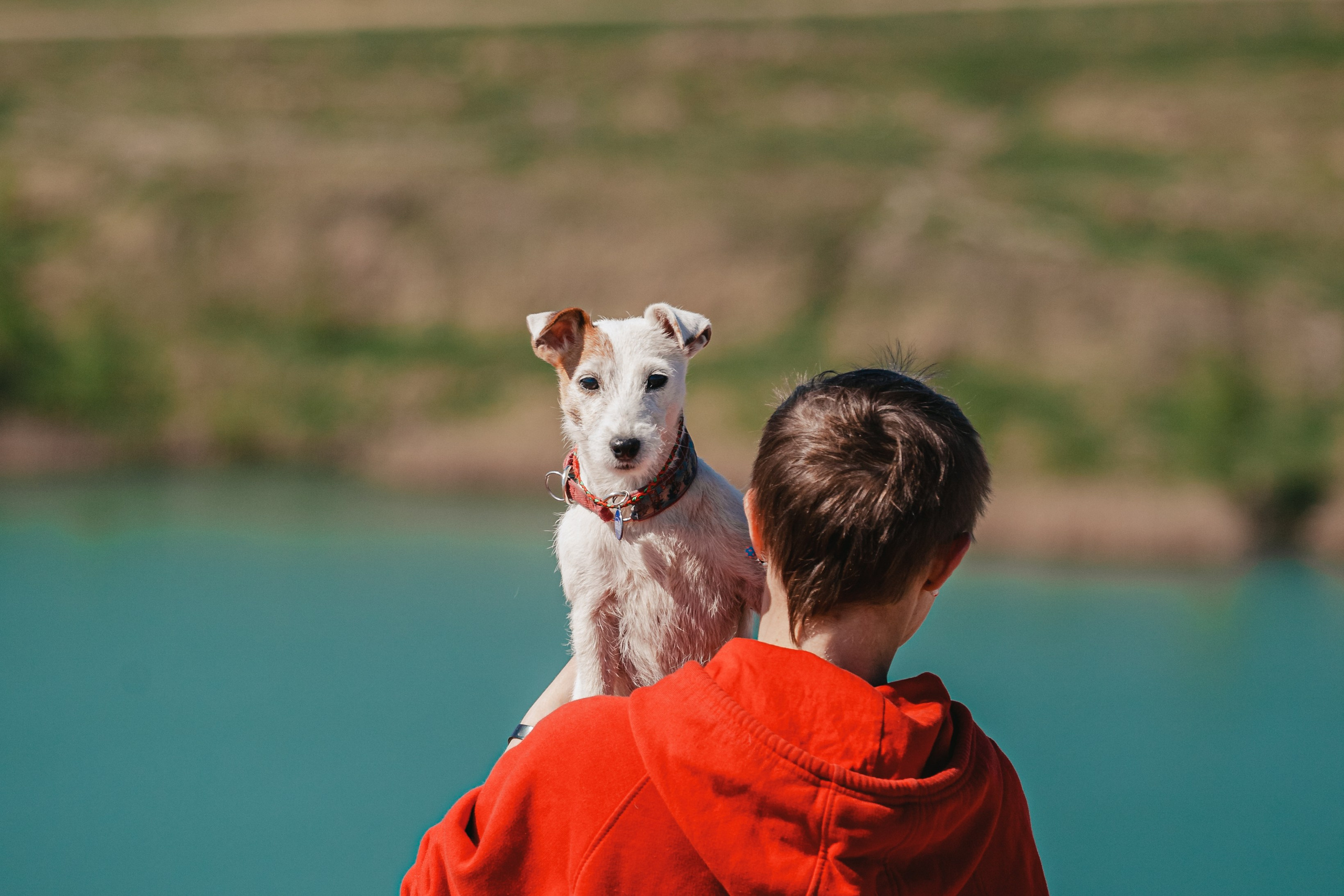 Кондуки. Фотограф-анималист Татьяна Степанова