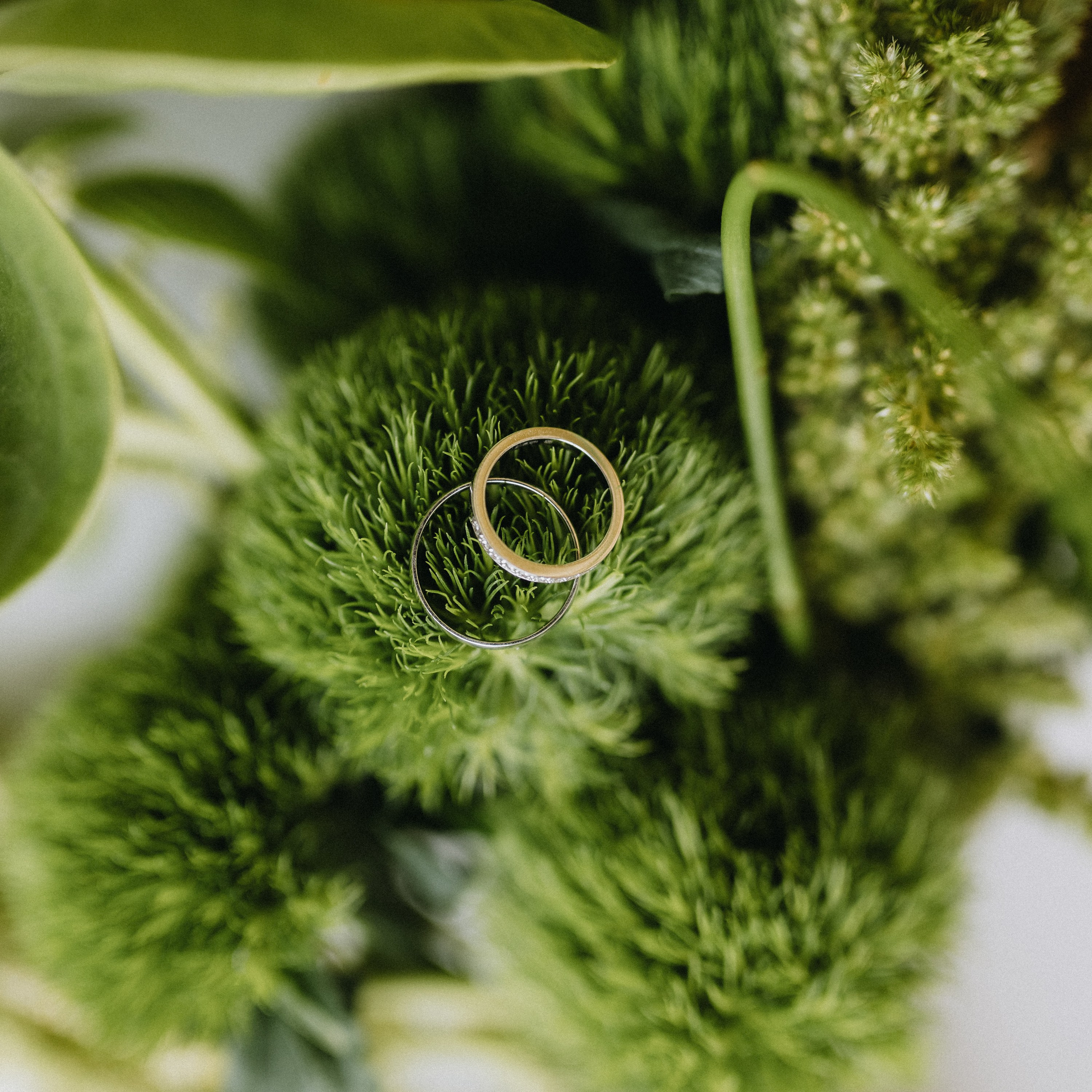 Дарья & Вячеслав. Фотограф из Хабаровска Юлия Черёмушкина