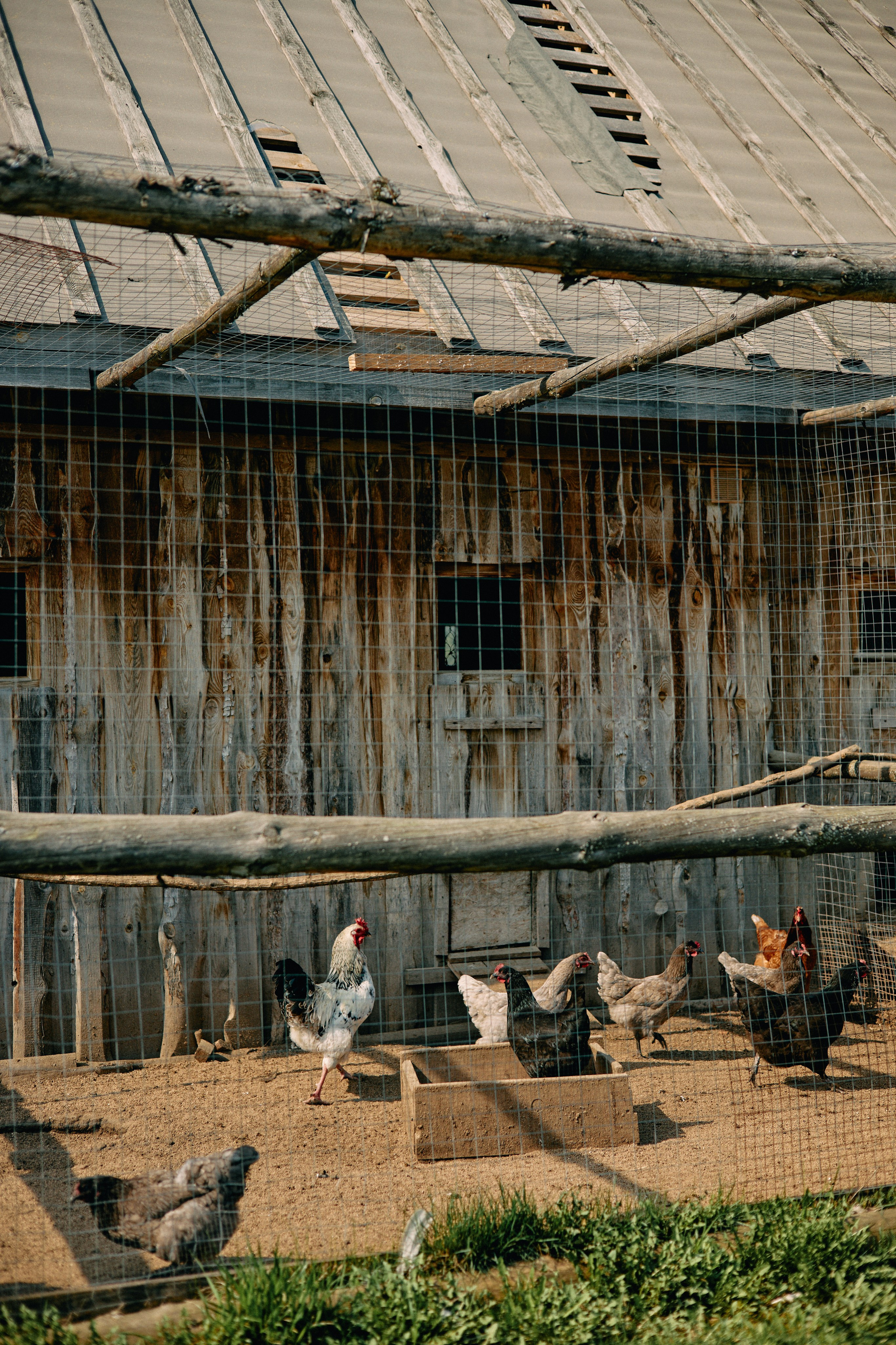 Бутик-отель Поле летом. Профессиональный Фотограф во Владимире, в Москве и в Суздале — Полина Романычева