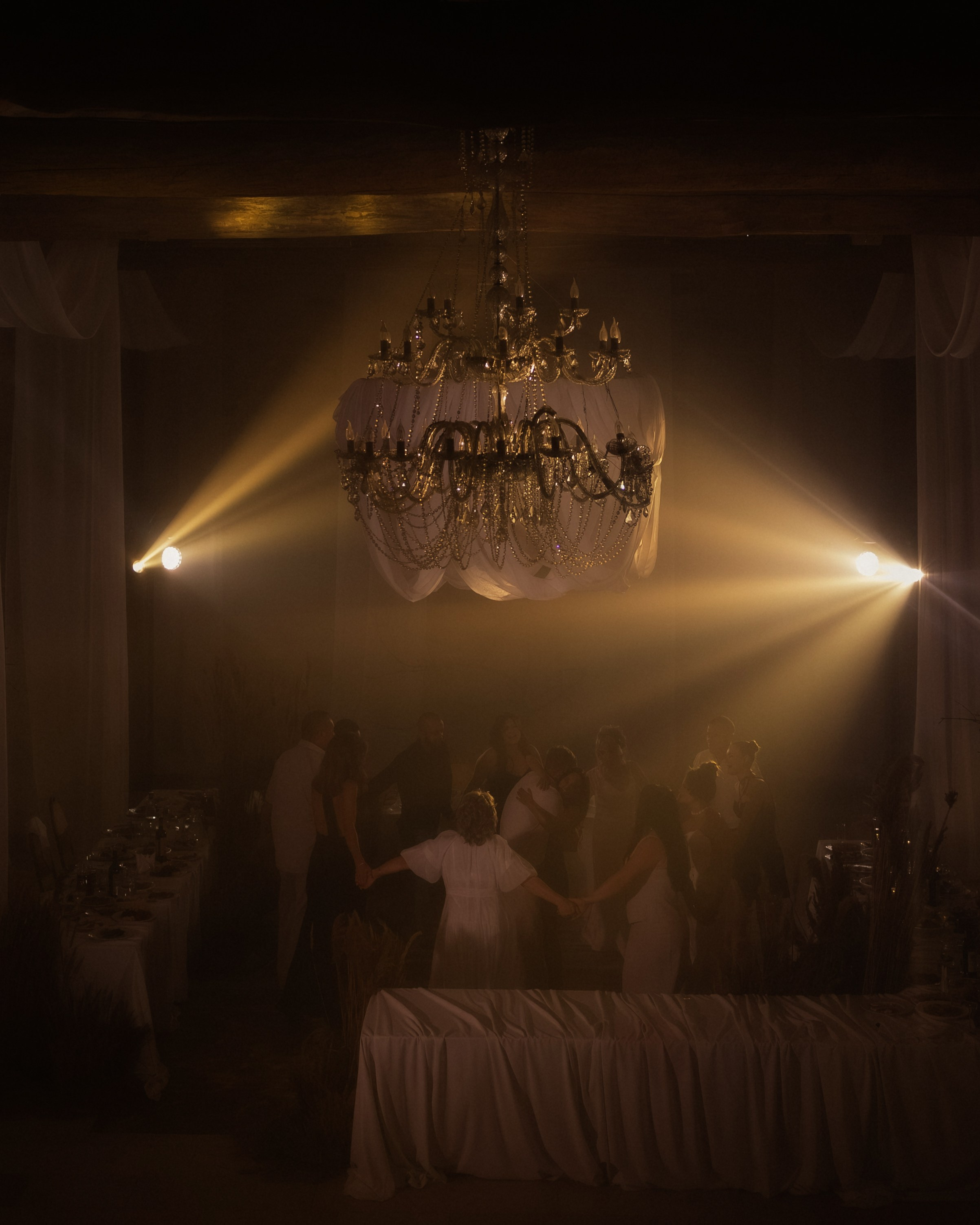 Лебеди. Свадебный фотограф Воронеж Москва СПБ