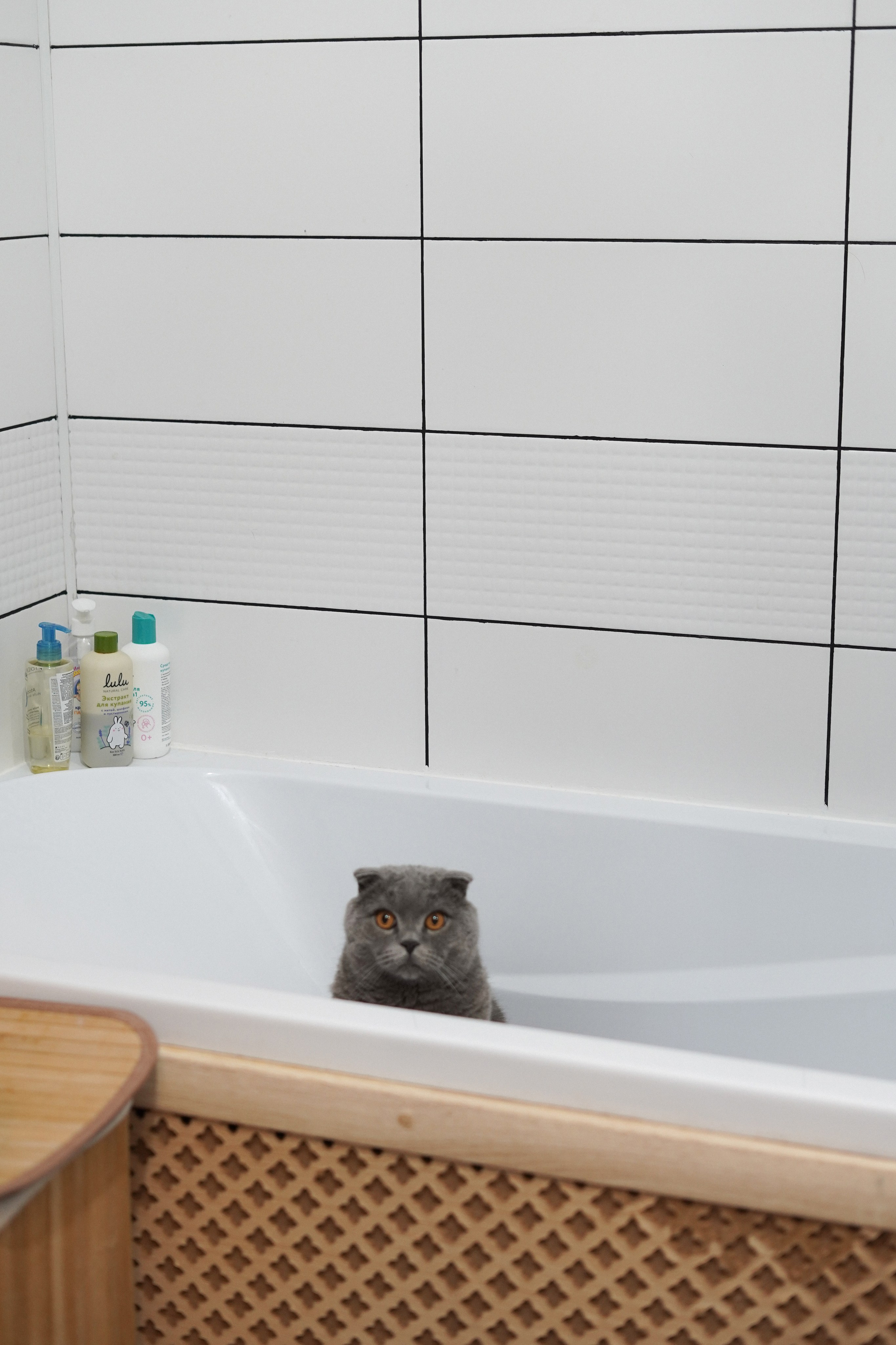 Алиса. Свадебный и портретный фотограф в Санкт-Петербурге Софья Каркачева