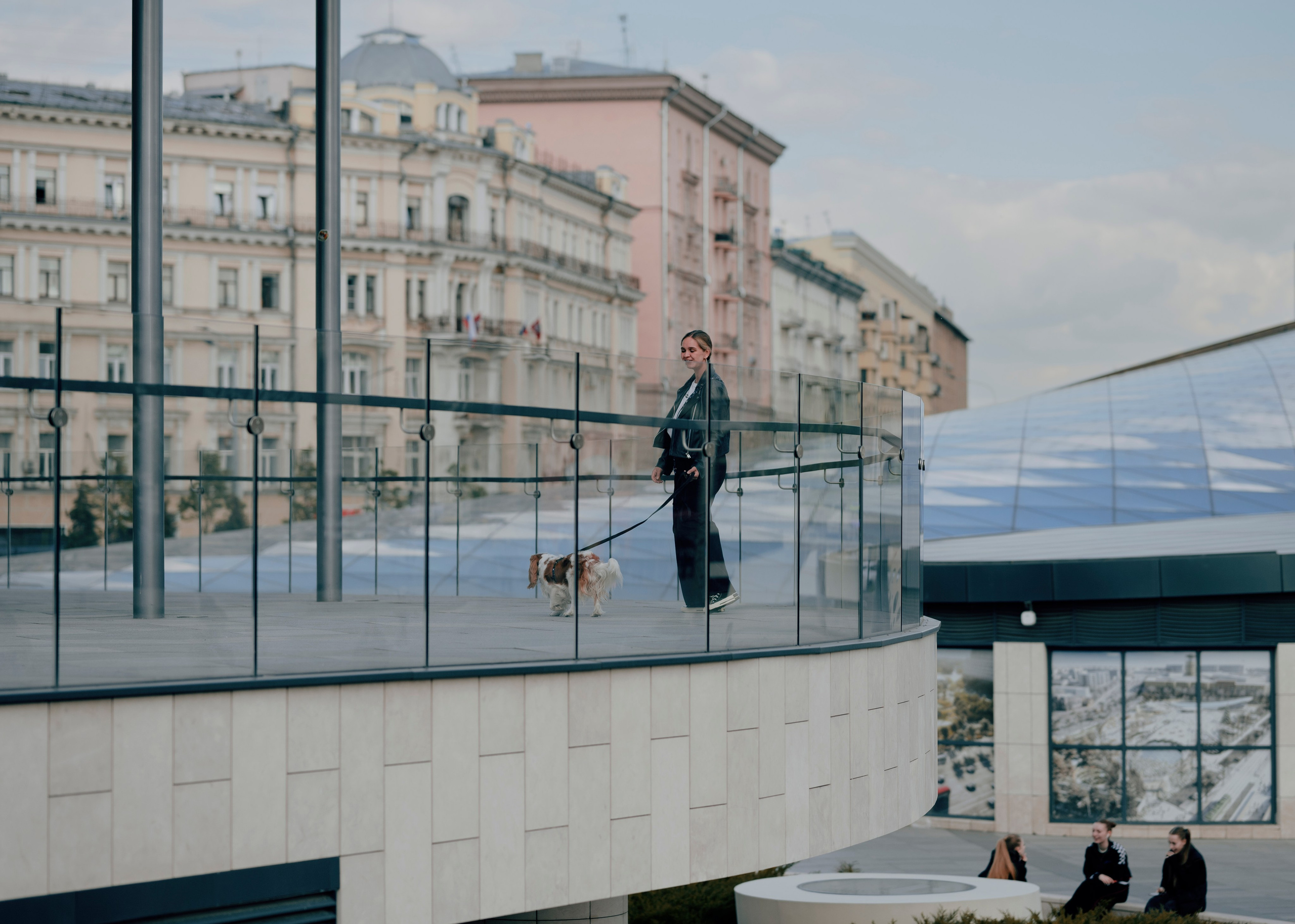 Дольче. Фотограф- анималист Александра Матвеева