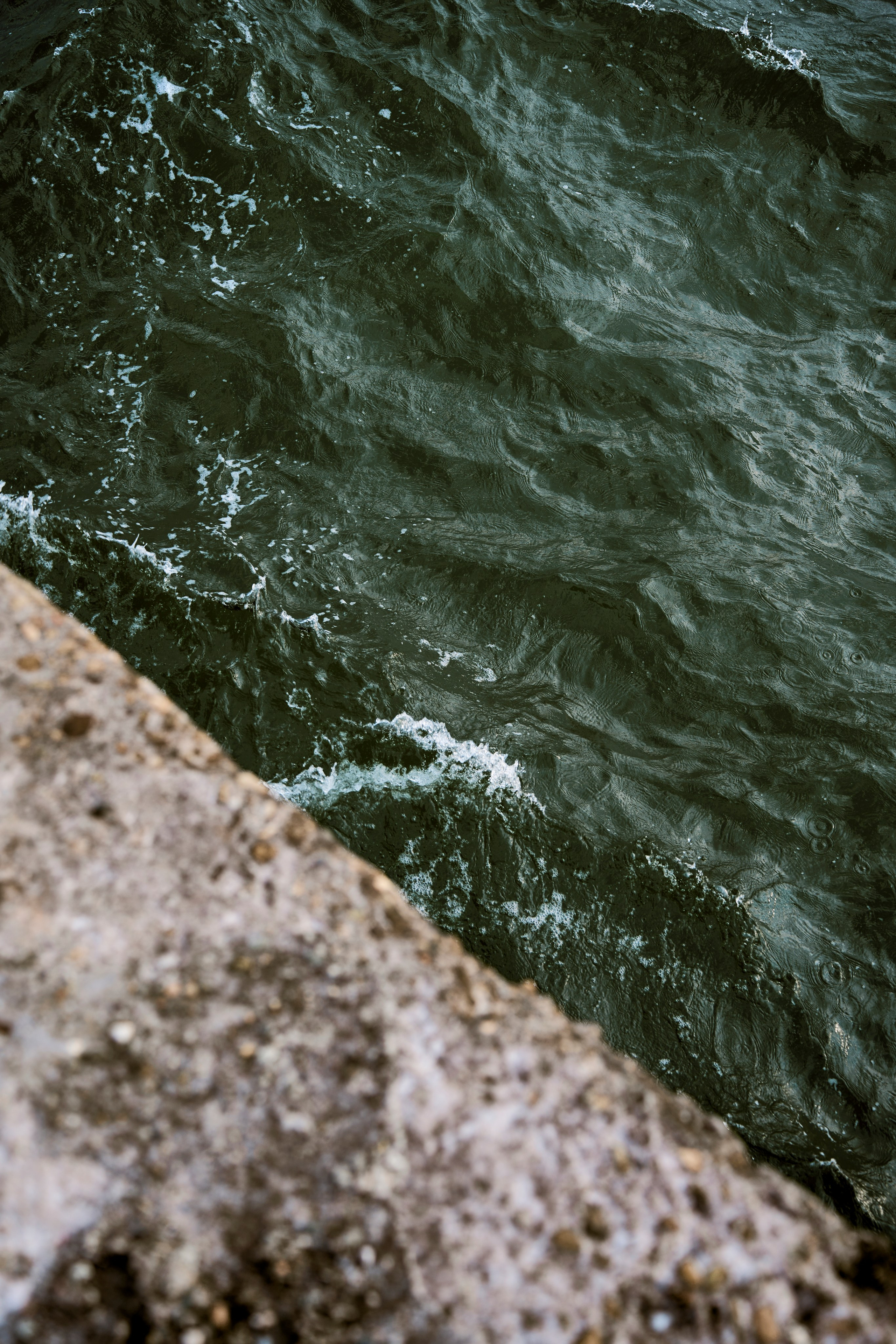 СОЧИ. Студийный фотограф в Екатеринбурге Бшари Заана
