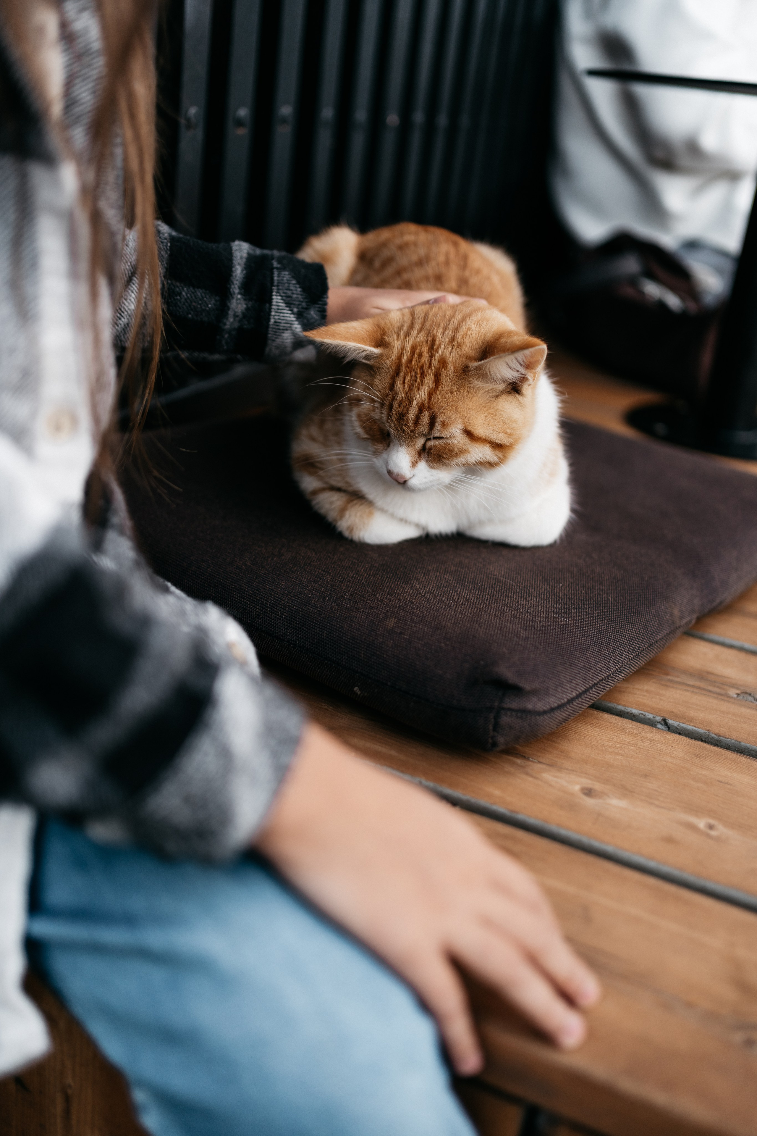 Сочи, Красная Поляна. Съемка для Екатерины. Фотограф Перевозкина Анна