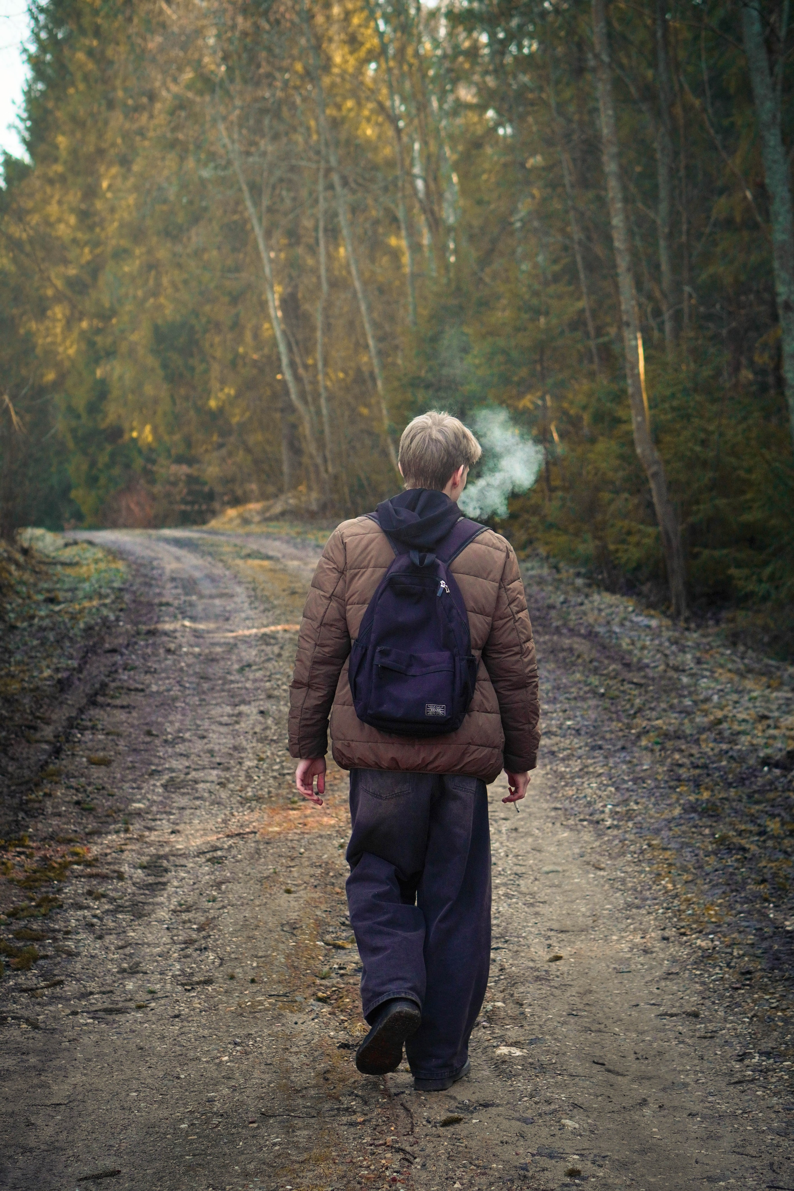 Лев. Видео и Фото