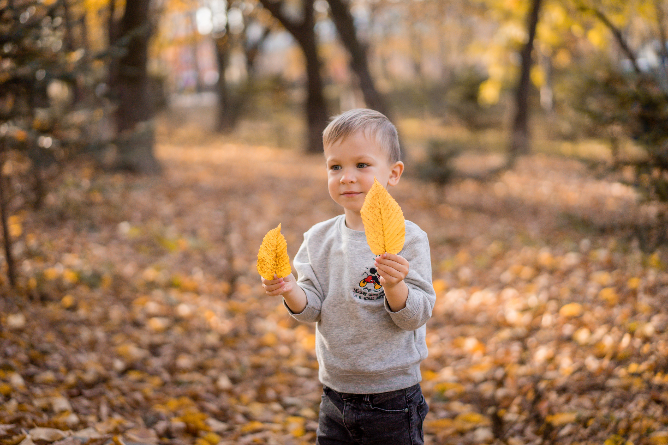 Прогулки по парку. Семейный и детский фотограф во Владивостоке Мария Гой