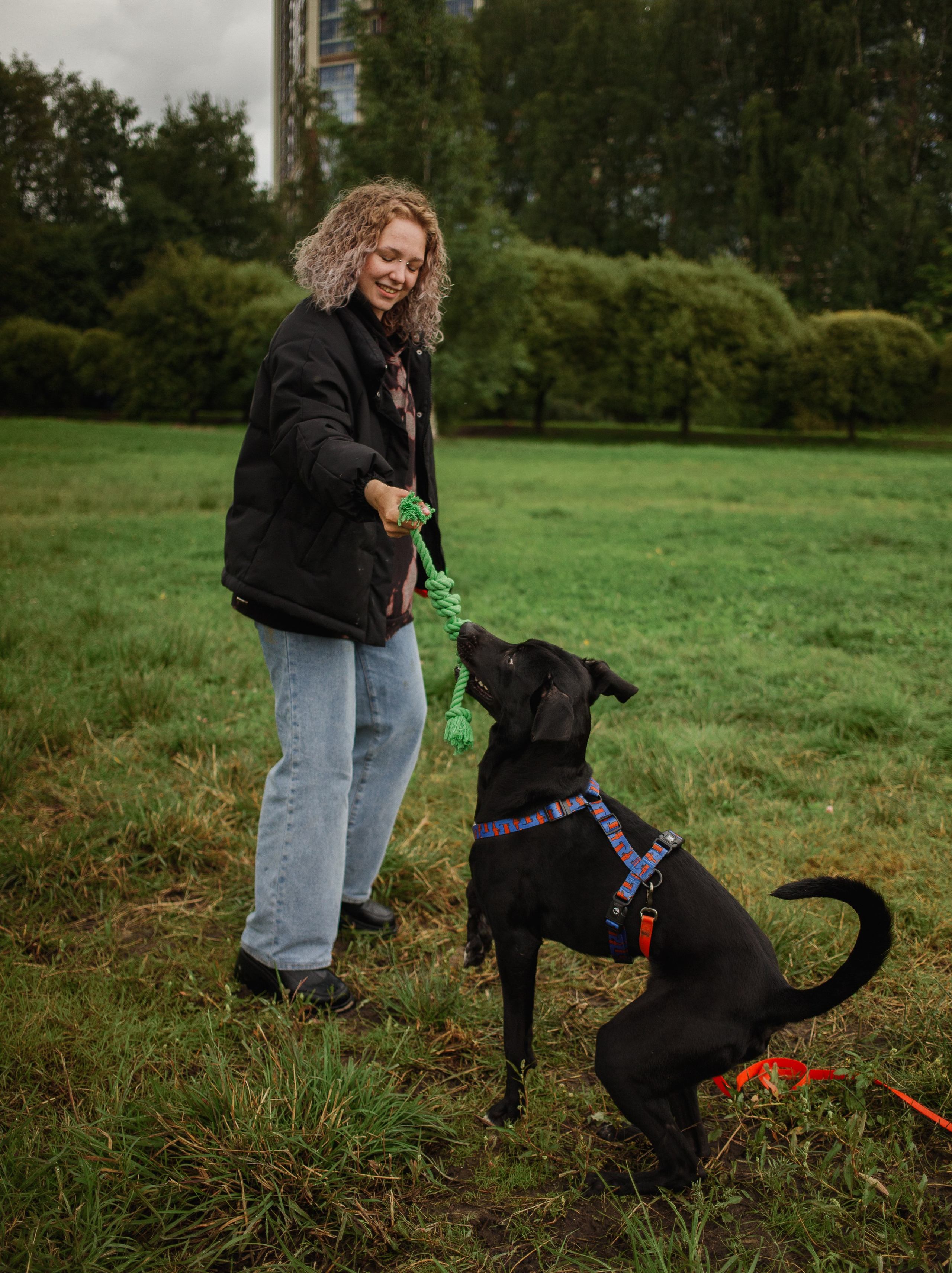Отис ищет дом. Портретный фотограф в Санкт-Петербурге Катя Протасевич