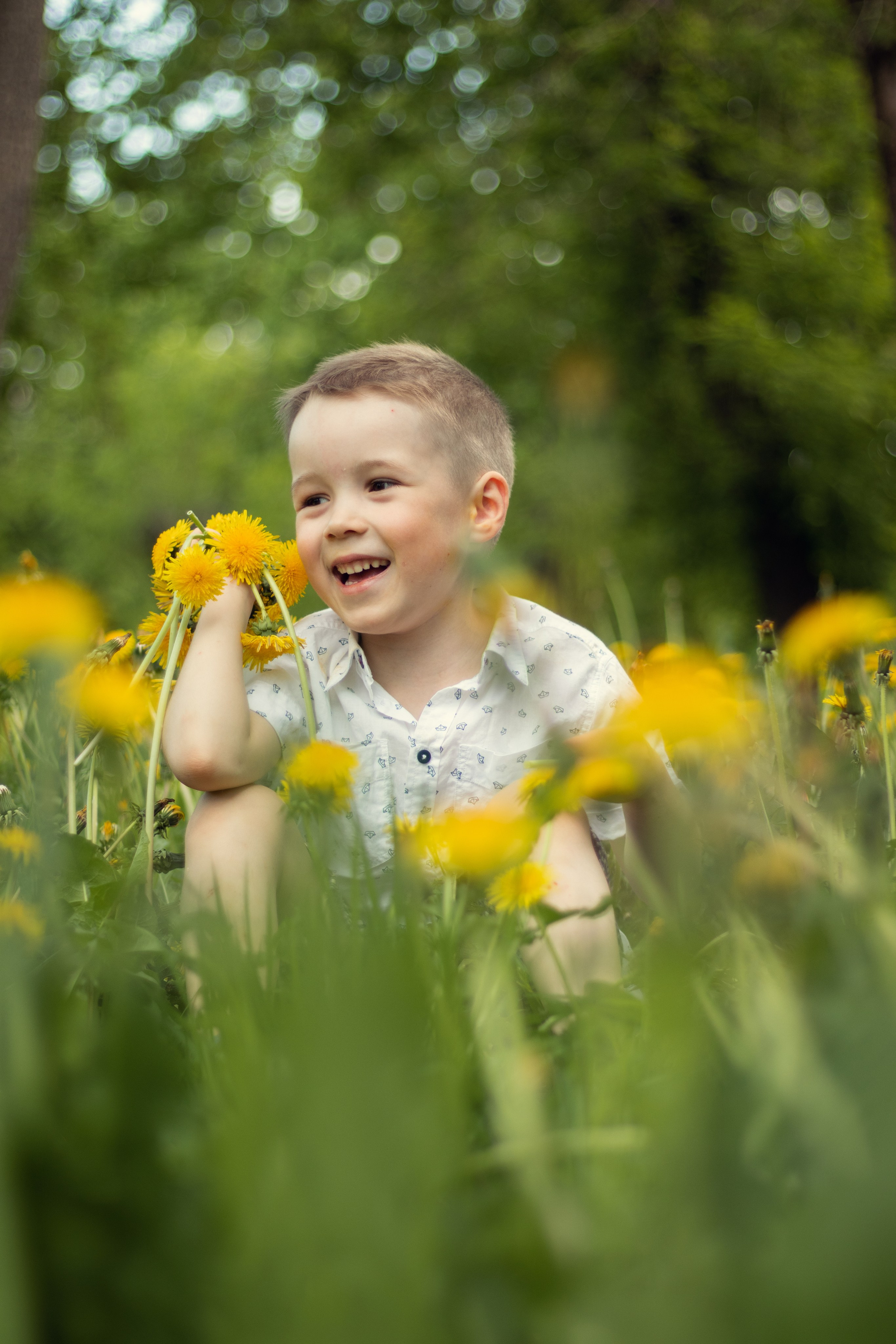 Одуванчиковое настроение