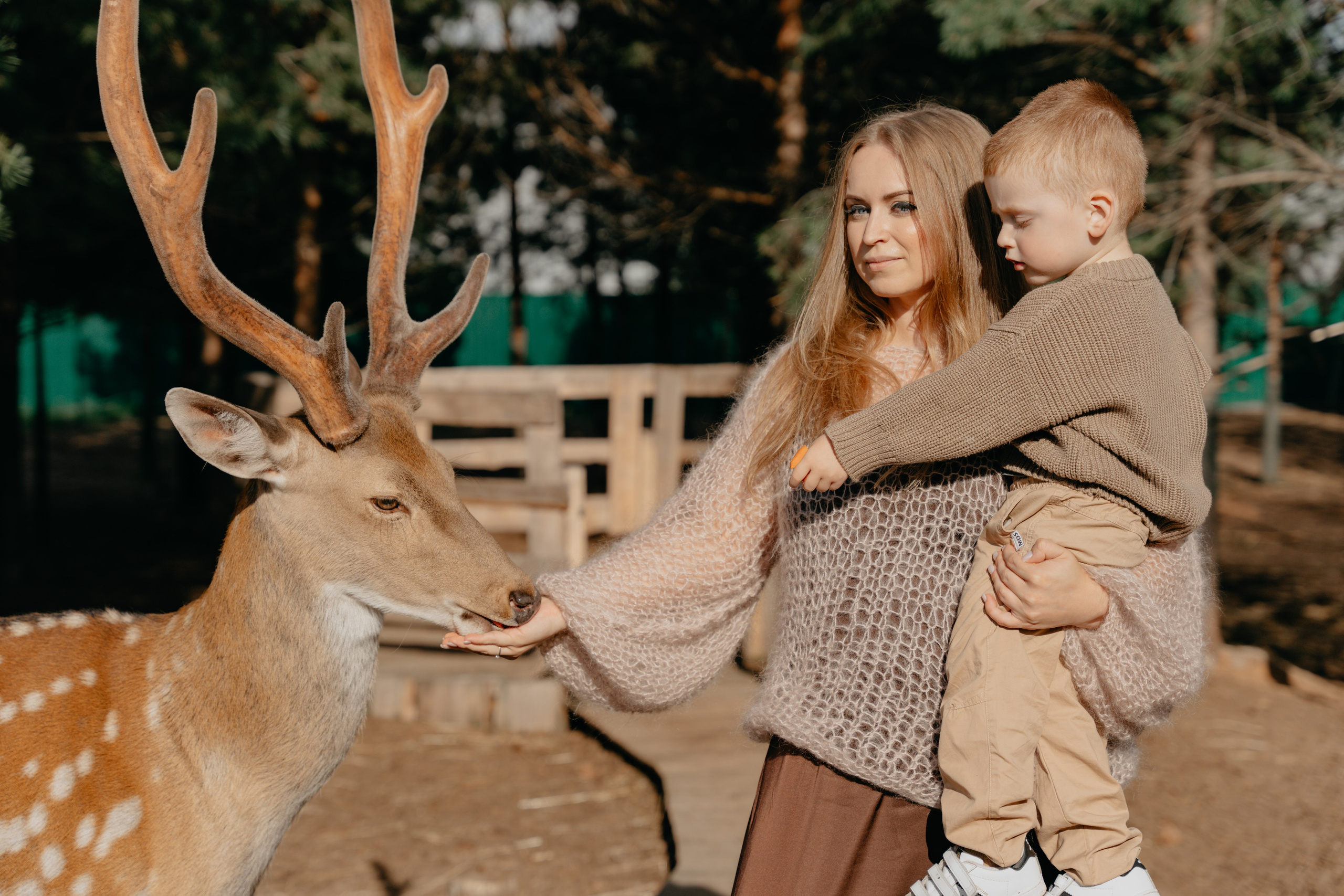 В гости к оленям