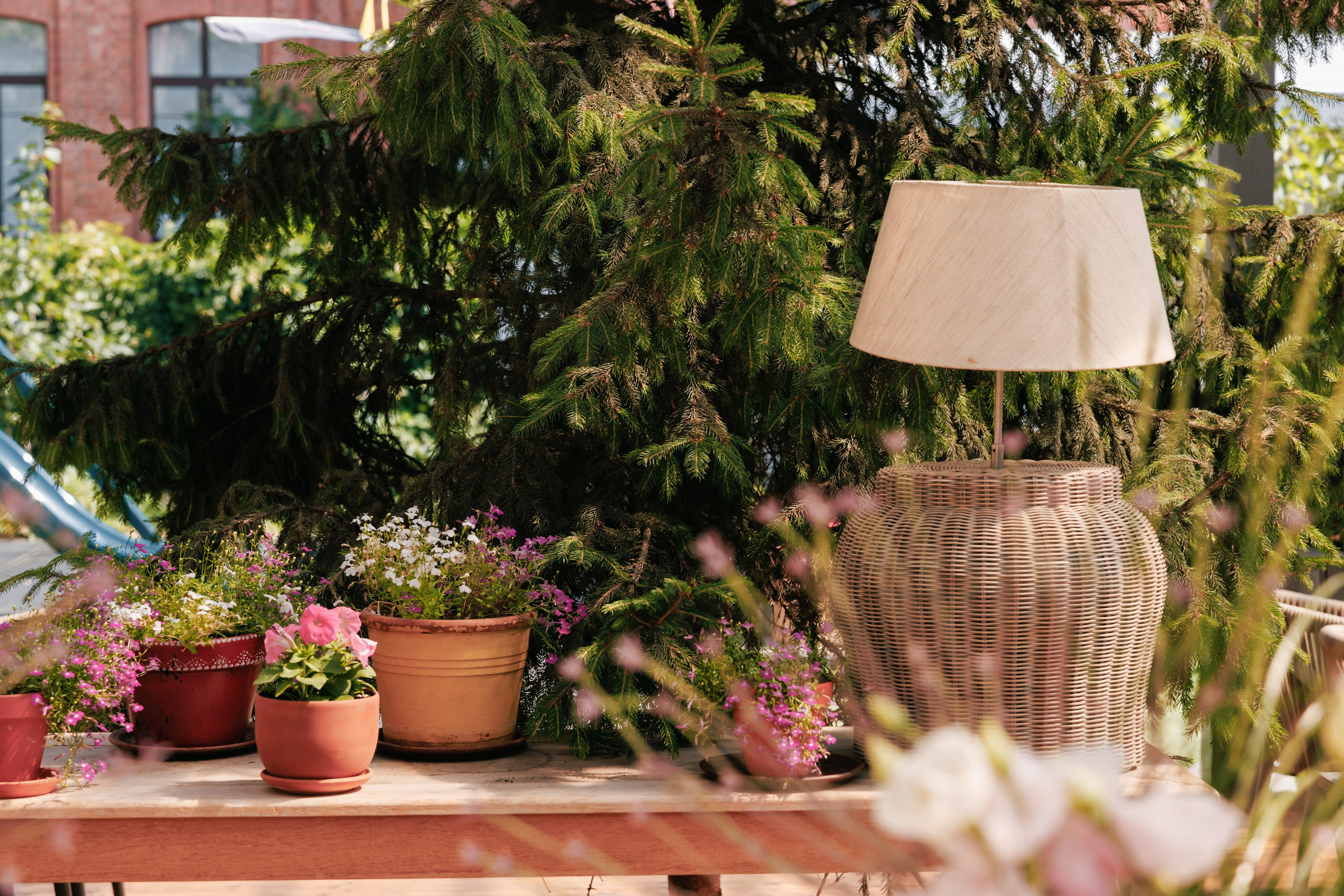 Пряности и радости на Васильевском острове. Репортажный фотограф в Санкт-Петербурге Жолудев Владислав