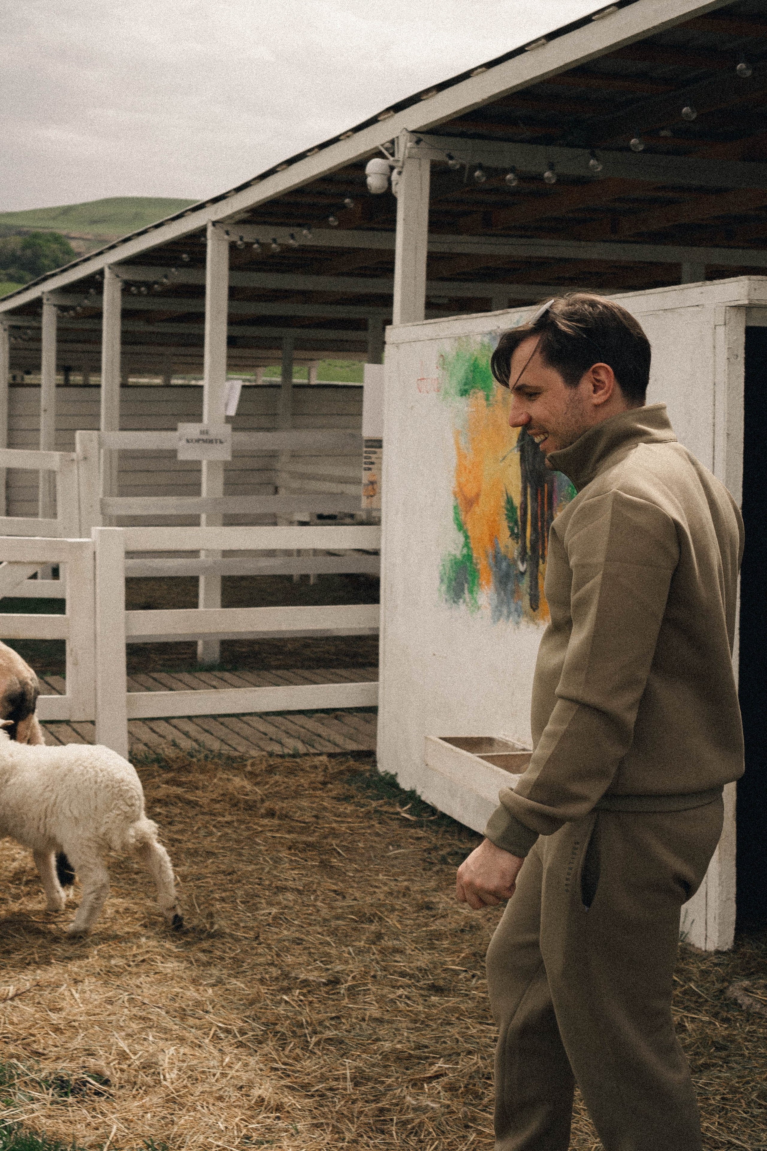 Ферма Альпак. Профессиональный фотограф, Санкт-Петербург — Виктория Богомолова