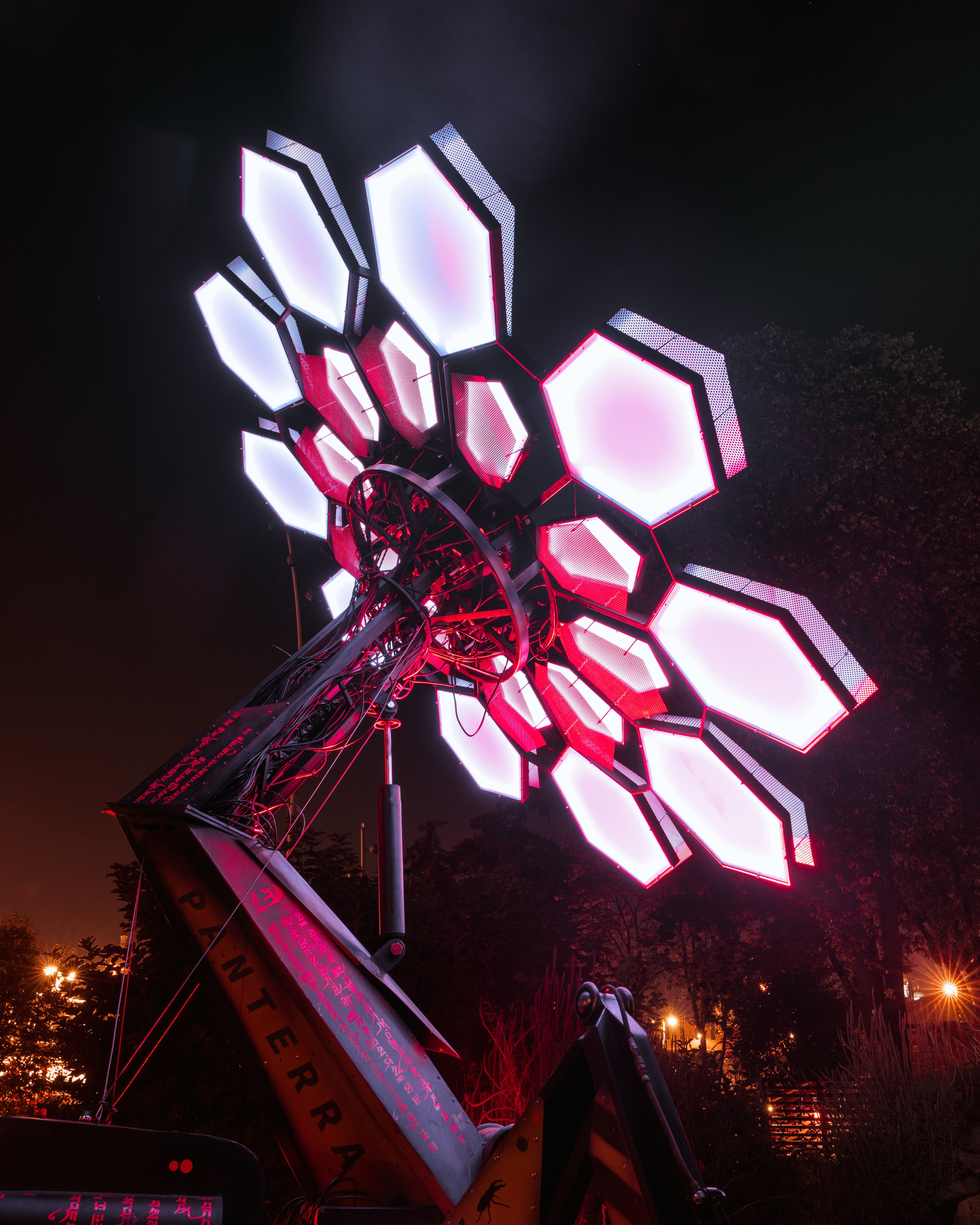 PANTERRA, Cyber Flower. @tomrus: Рустам Шагиморданов — фотограф